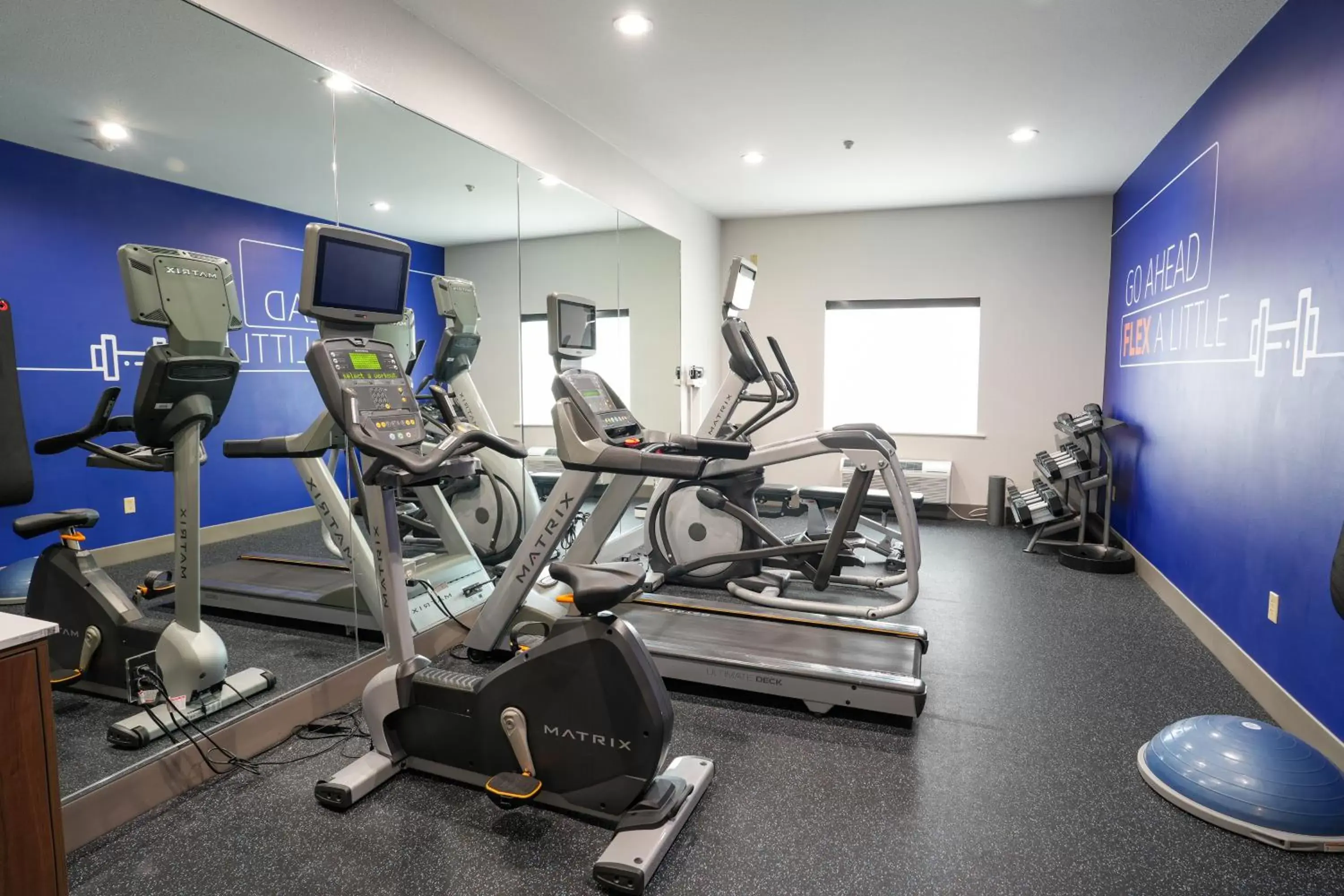 Fitness centre/facilities, Fitness Center/Facilities in Holiday Inn Express Hotel & Suites Cedar Hill, an IHG Hotel