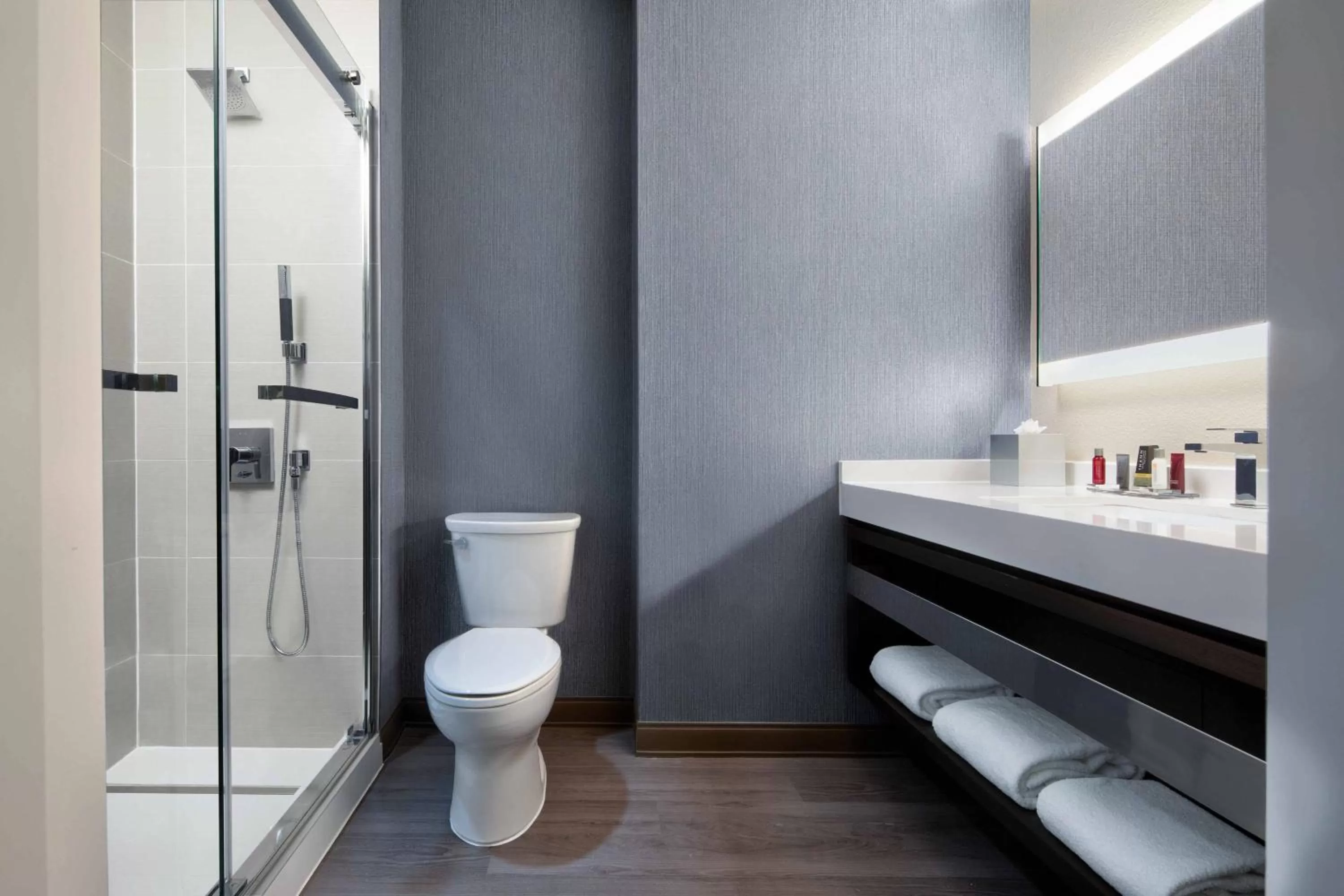 Bathroom in Dallas/Plano Marriott at Legacy Town Center