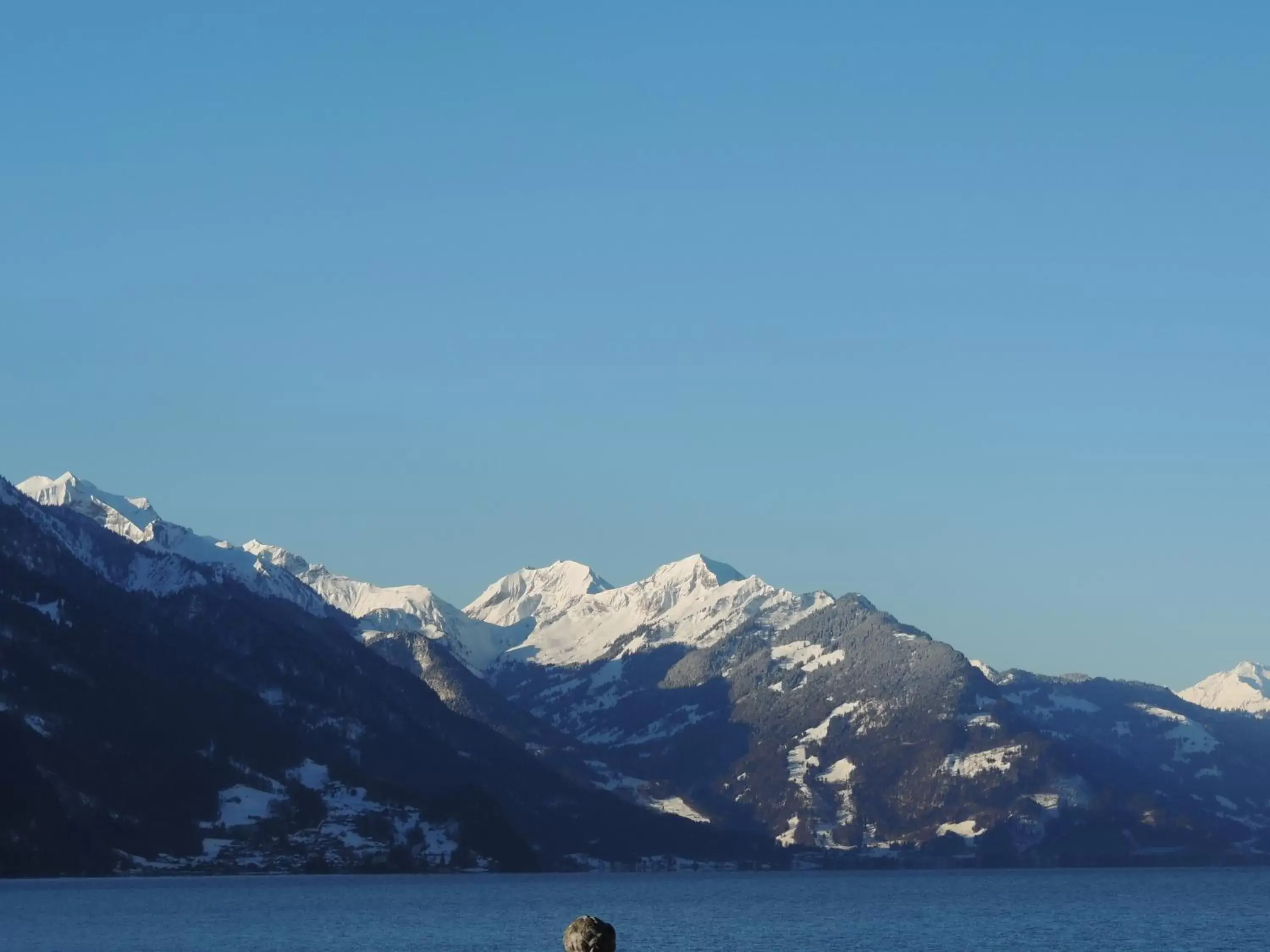 Natural landscape, Winter in Gasthof Hirschen