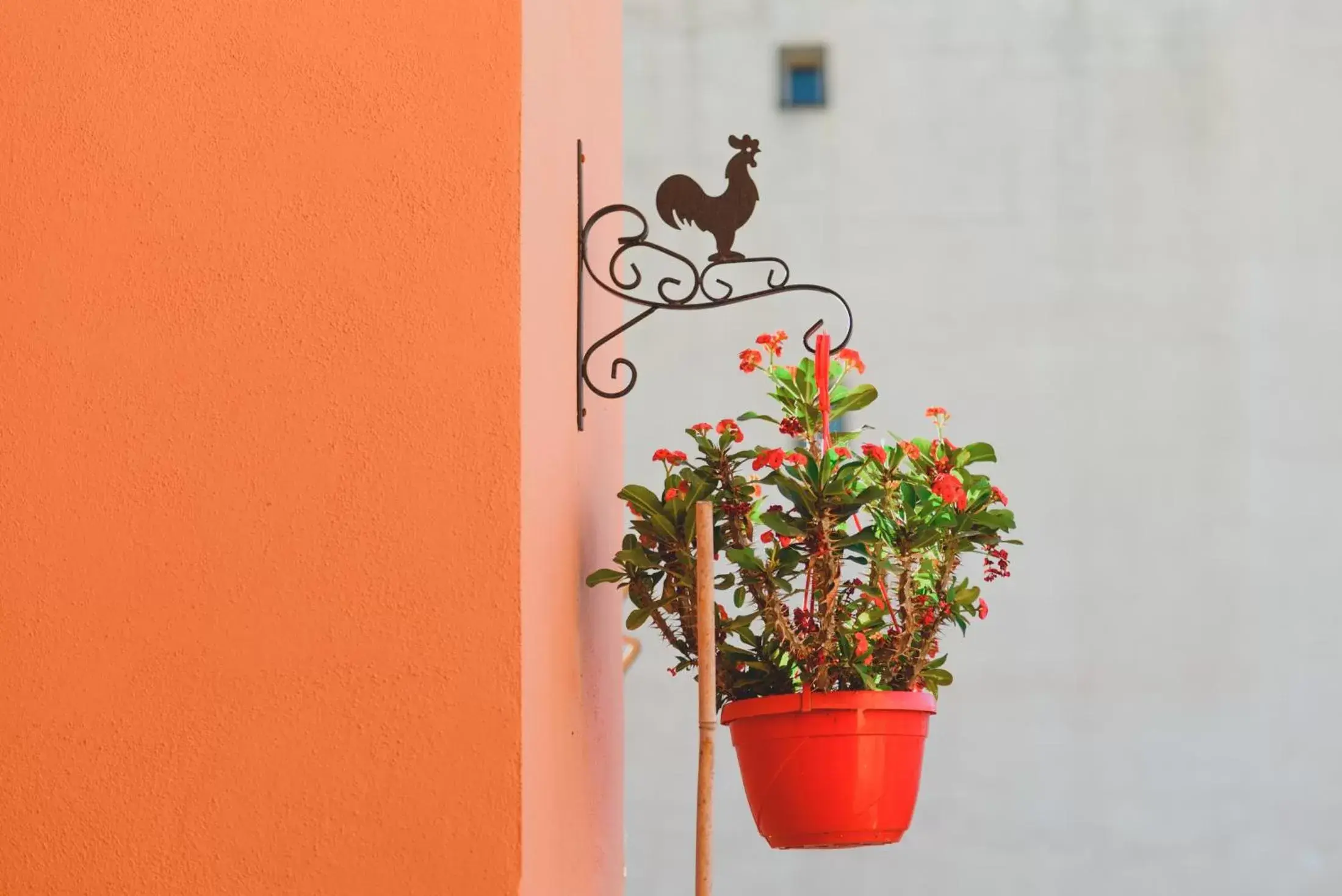 Balcony/Terrace in Bellini Home B&B