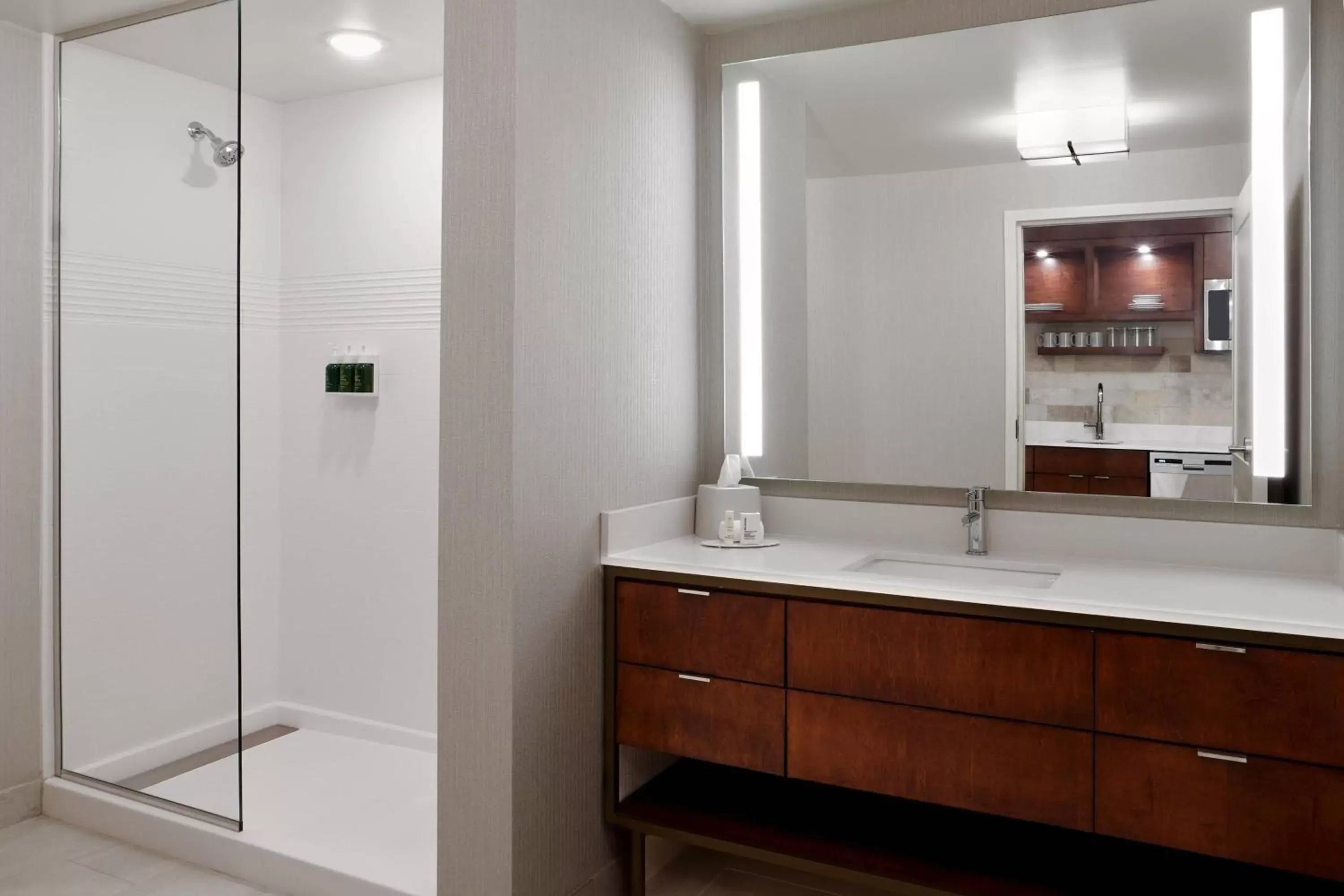 Bathroom in TownePlace Suites by Marriott Orlando Downtown