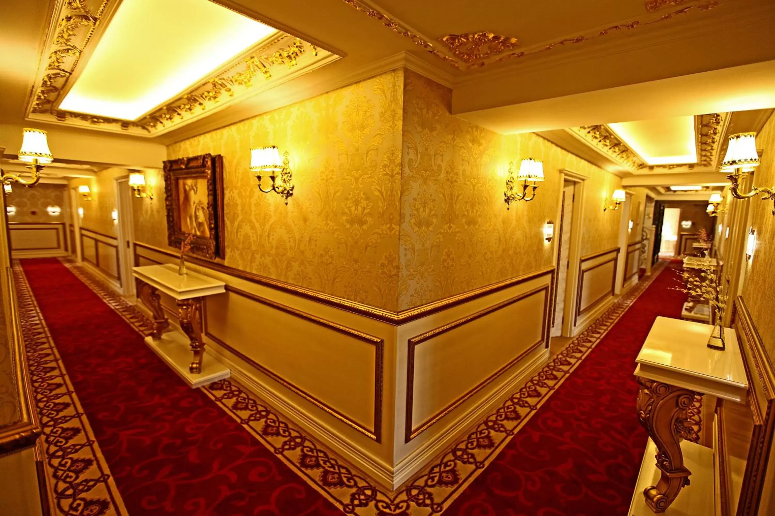 Decorative detail, Lobby/Reception in Hotel Buyuk Hamit