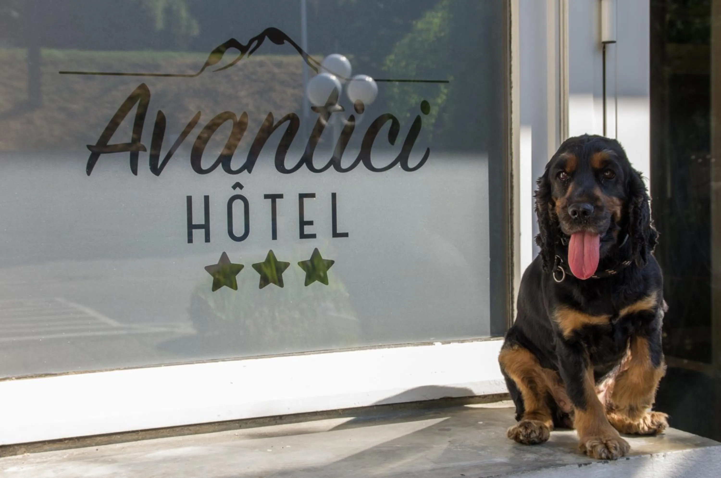 Garden in Cit'Hotel Avantici Gap