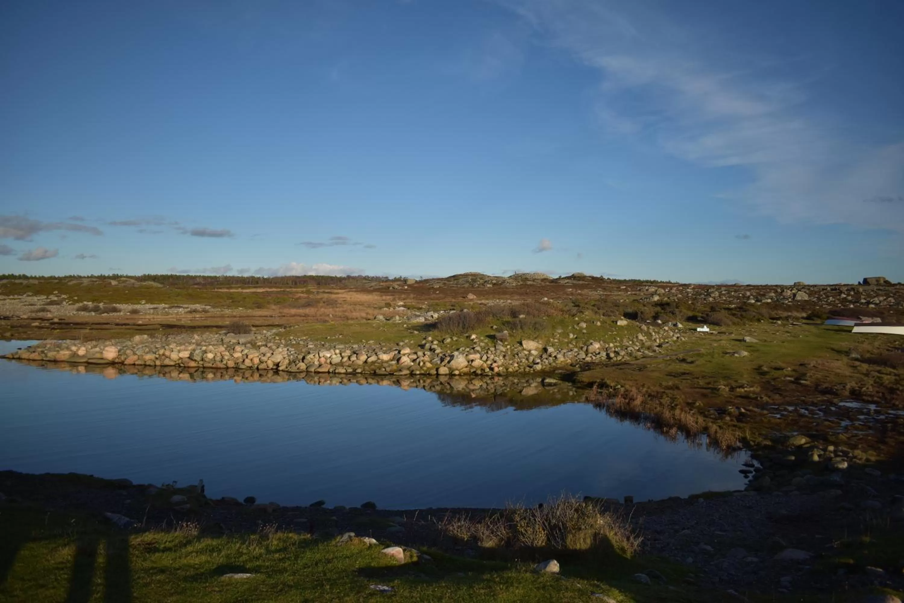Natural landscape in Åsa Jutegård