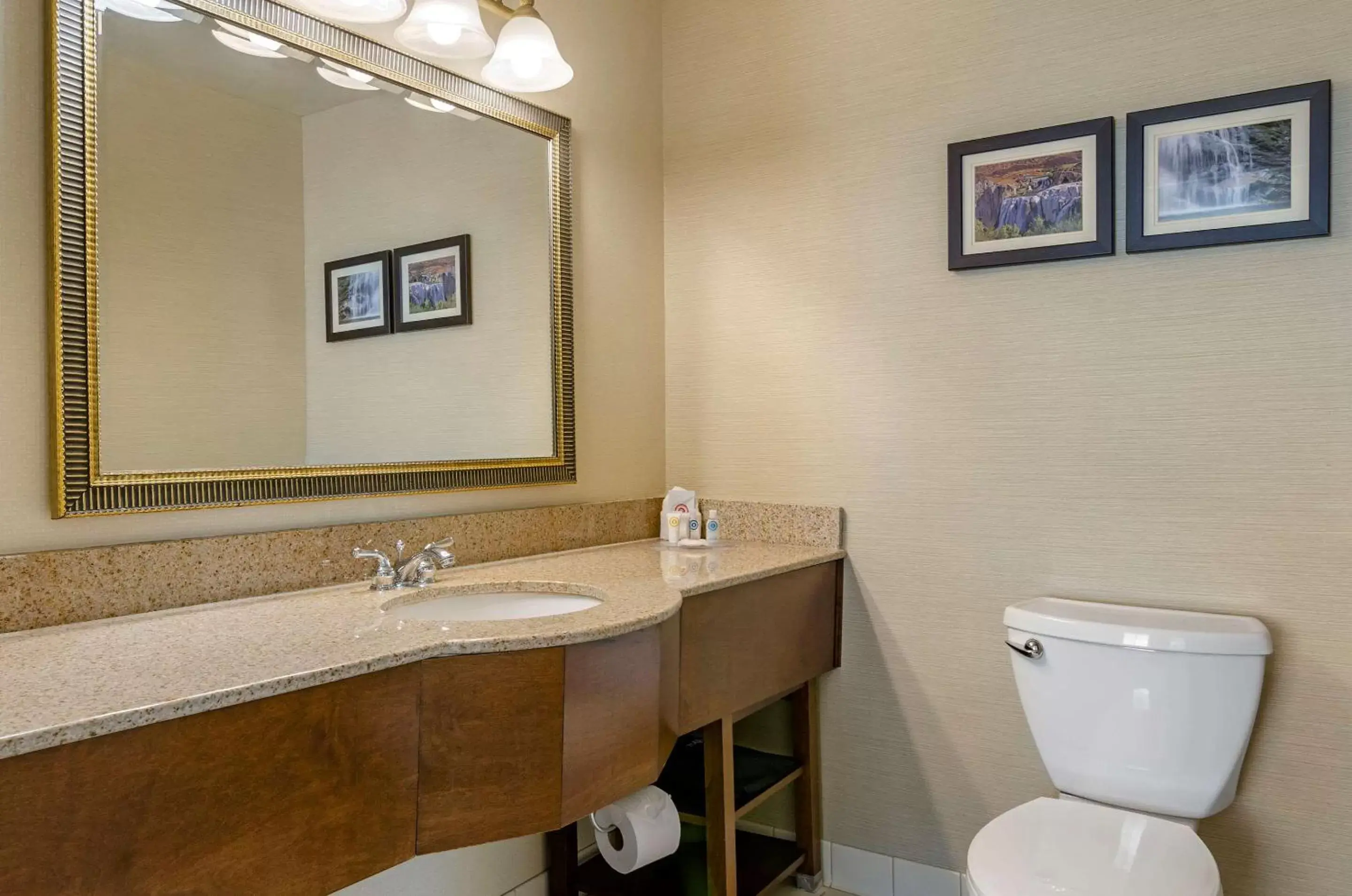 Photo of the whole room, Bathroom in Comfort Inn & Suites Jerome - Twin Falls