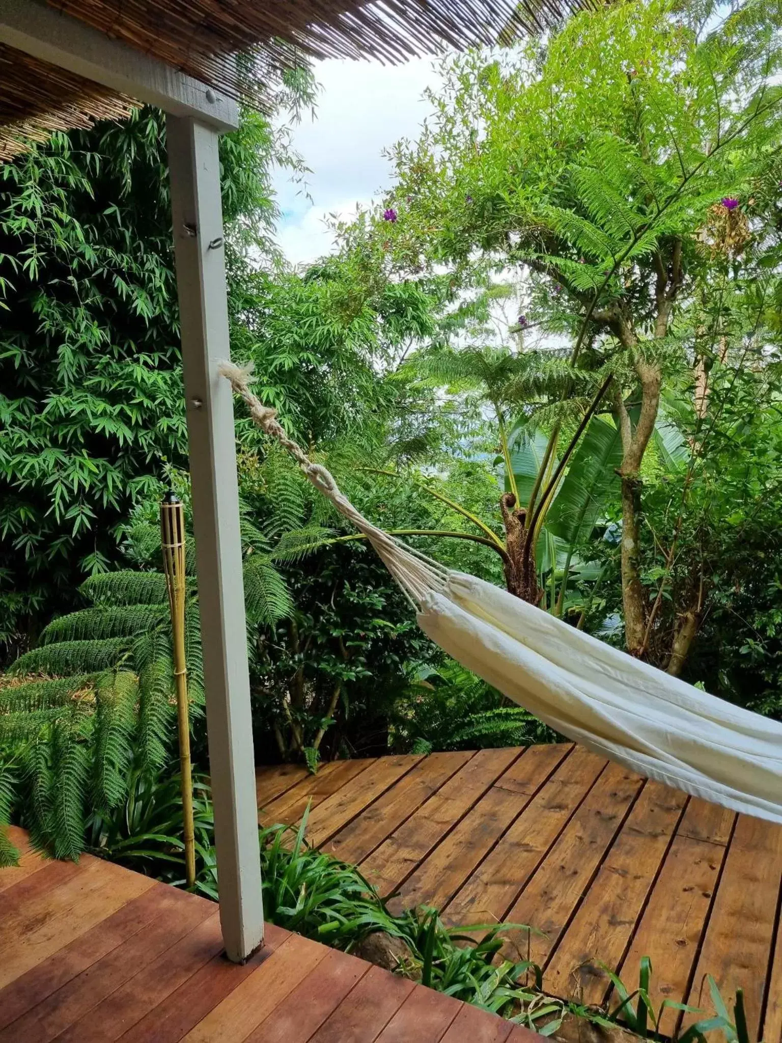 Garden in Rahasia Rainforest Retreat