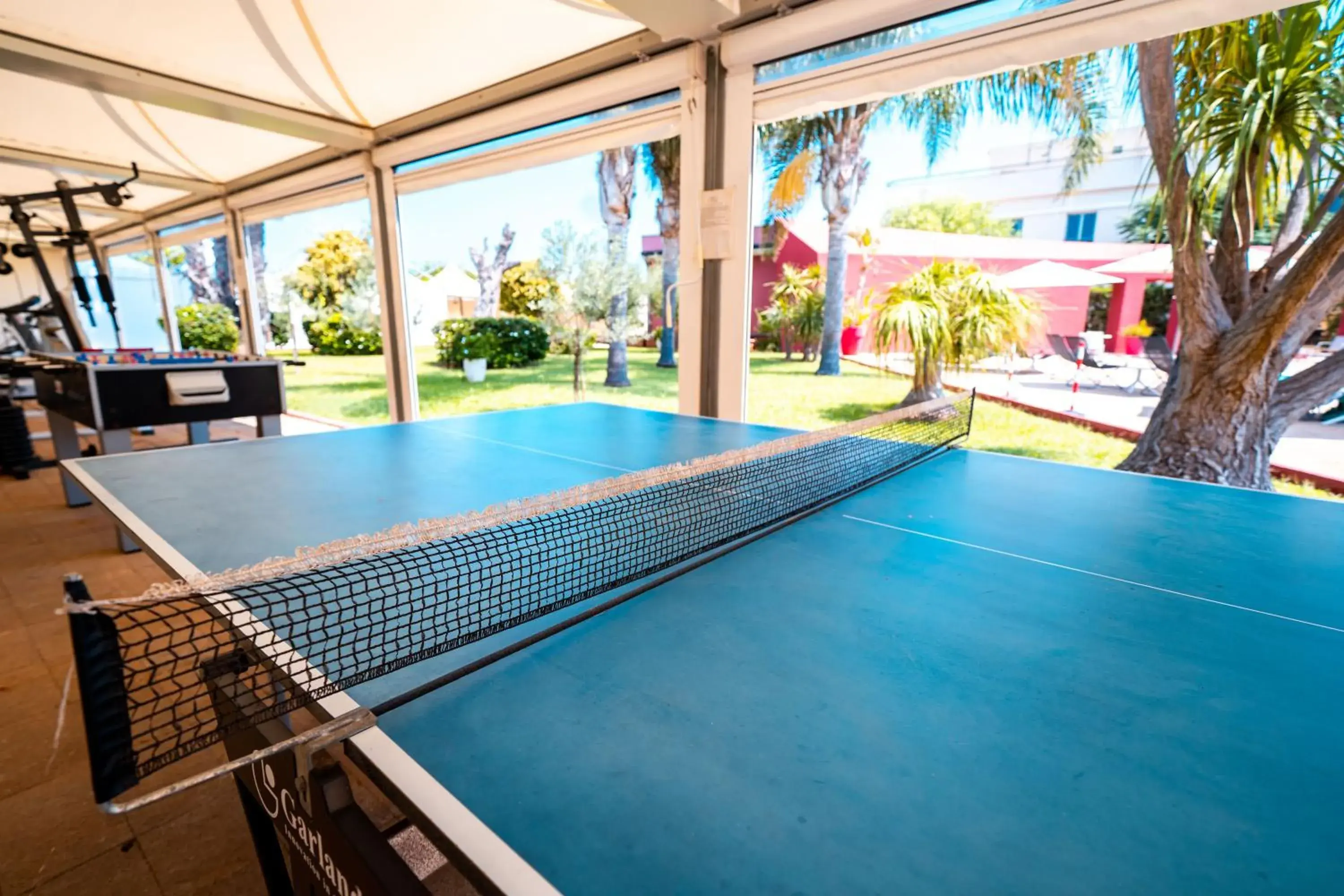 Table tennis, Swimming Pool in Albatros Hotel