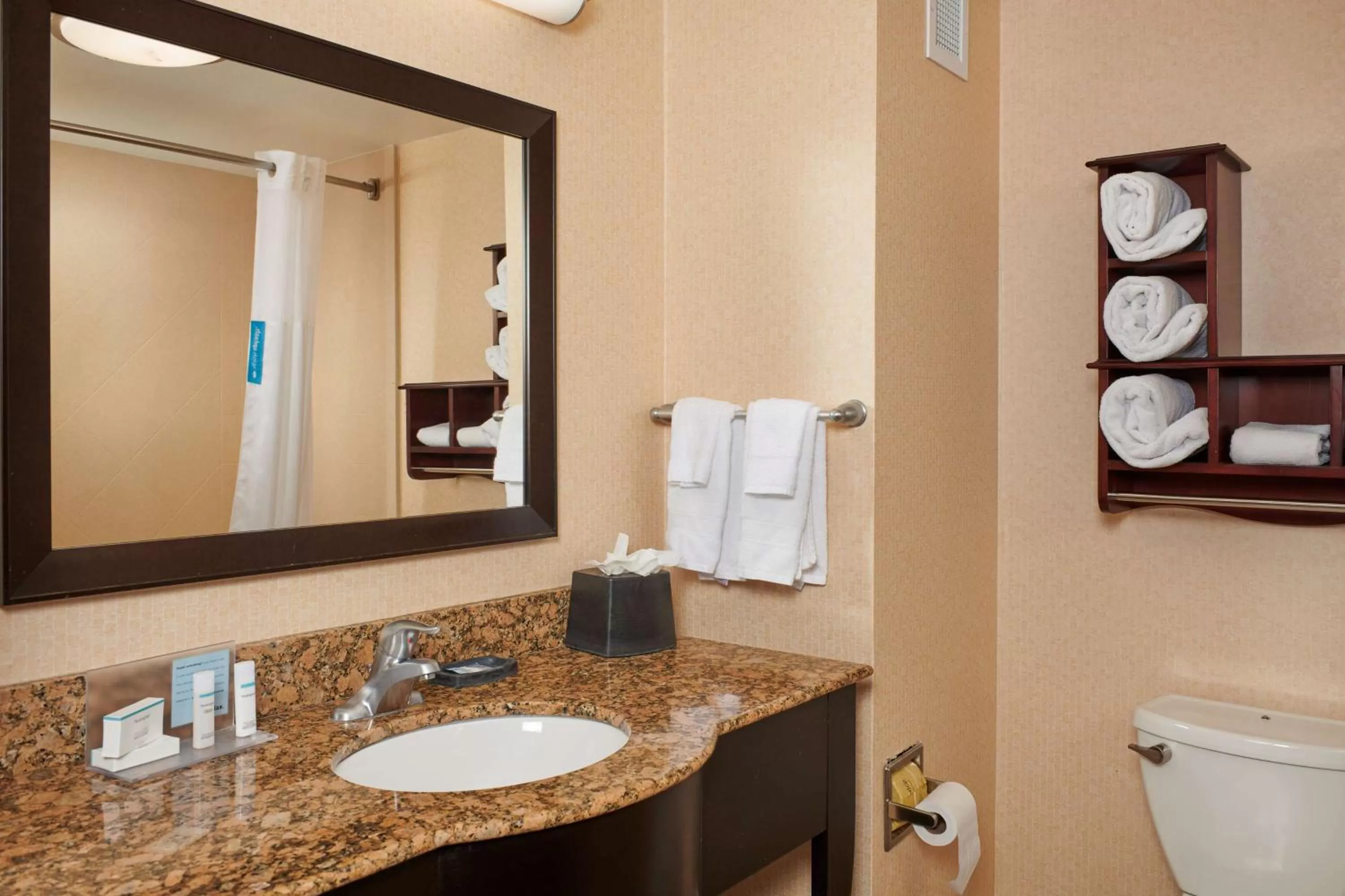 Bathroom in Hampton Inn & Suites Denver/Highlands Ranch