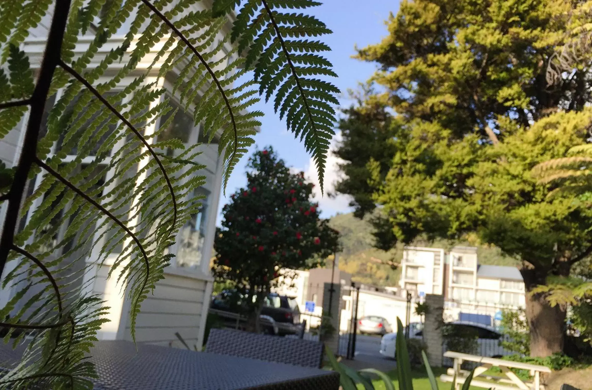 Balcony/Terrace, Property Building in Escape To Picton Boutique Hotel