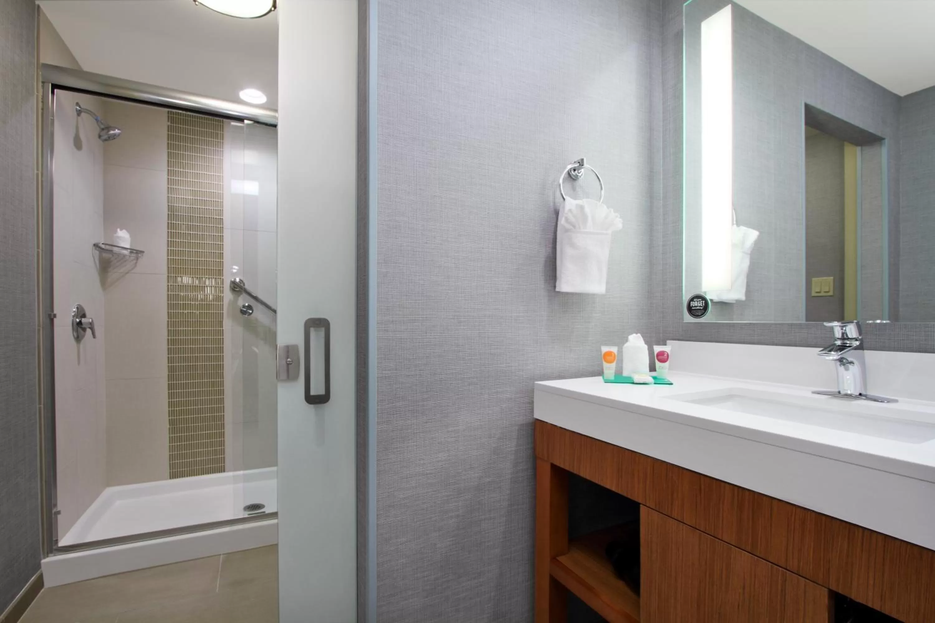 One-Bedroom King Suite with Accessible Shower - Disability Access in Hyatt Place Houston/Katy
