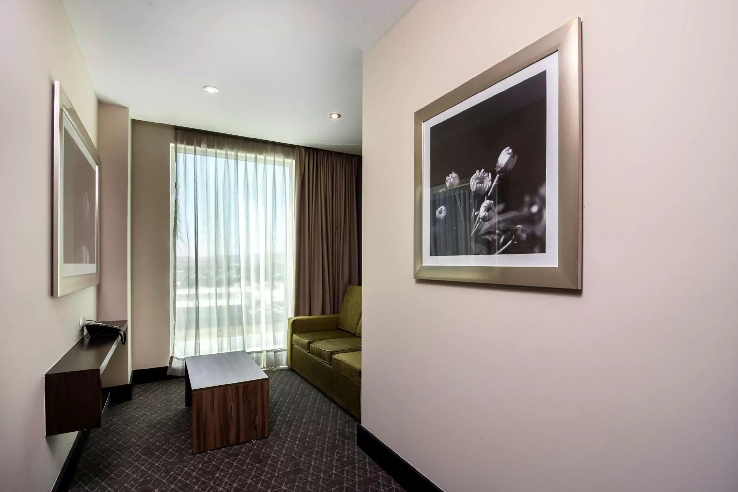 Living room, Seating Area in Hilton Garden Inn Aguascalientes