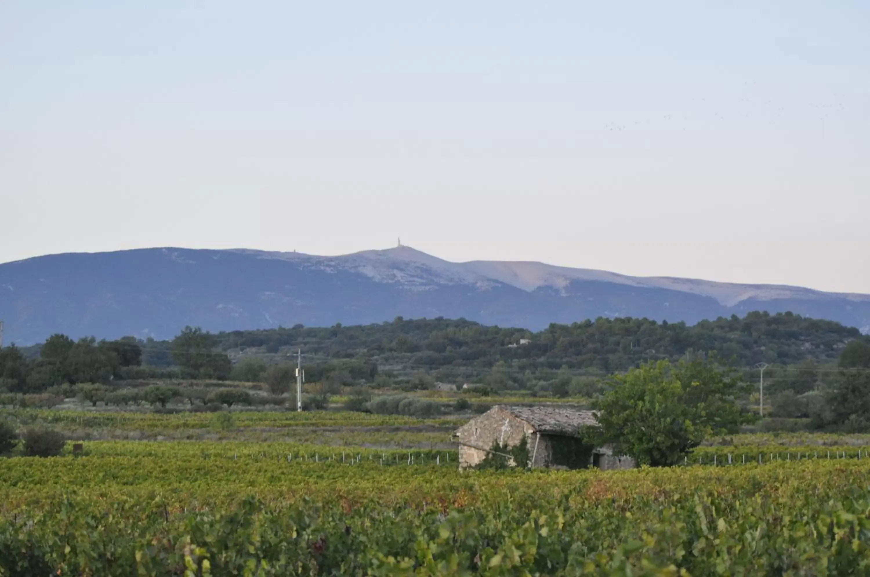 Landmark view, Natural Landscape in Le Mas de Plein Pagnier