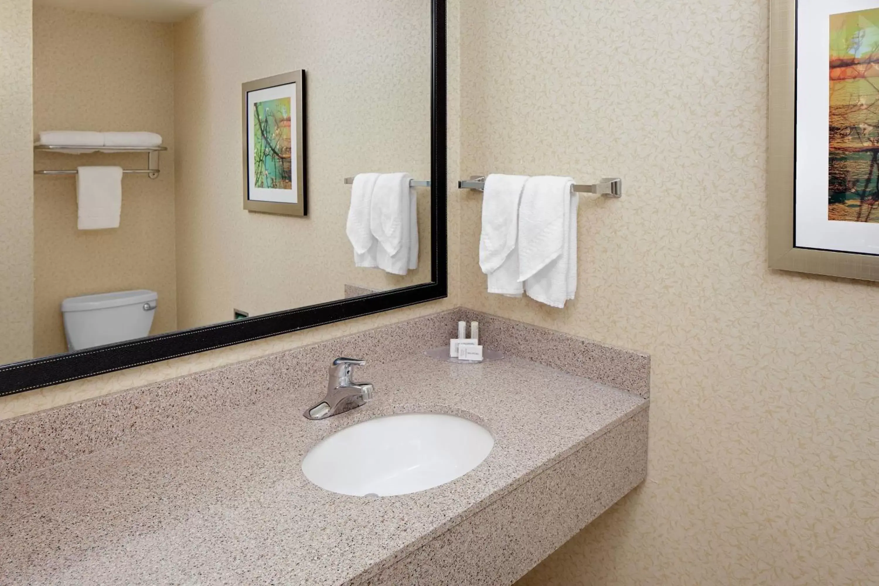 Bathroom in Fairfield Inn & Suites Detroit Metro Airport Romulus