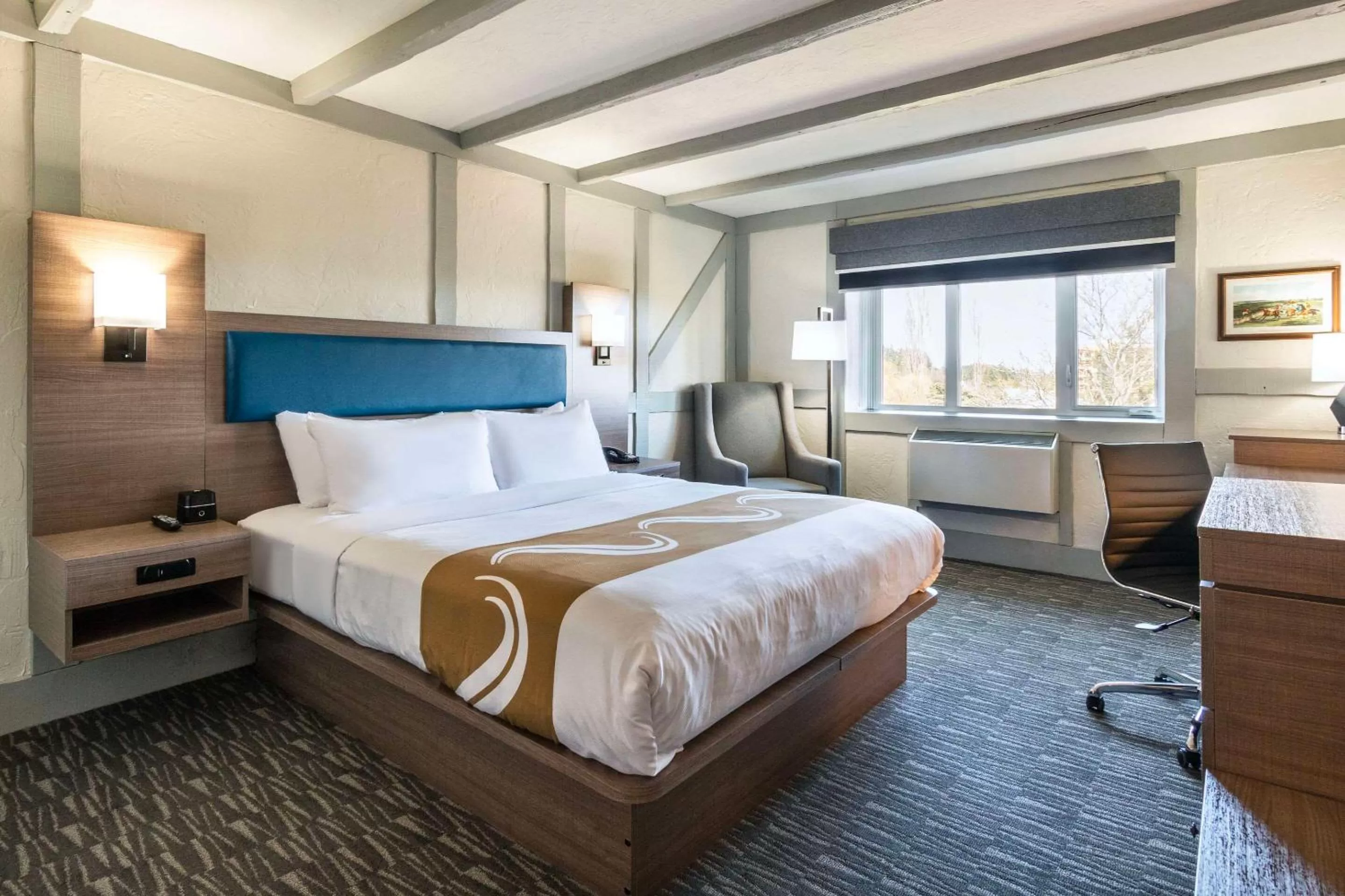 Bedroom, Bed in Quality Inn Waddling Dog