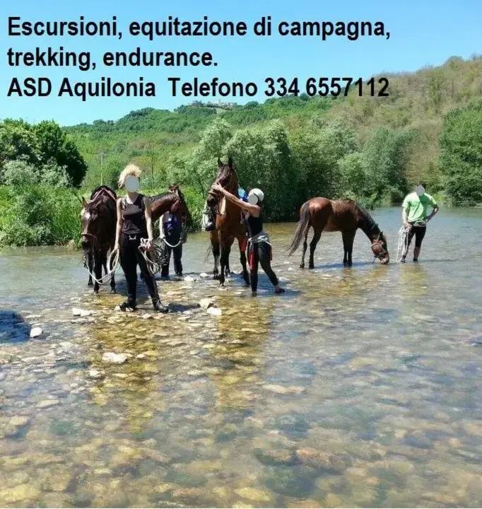 Natural landscape, Horseback Riding in B&B Il girasole - A casa di Ale