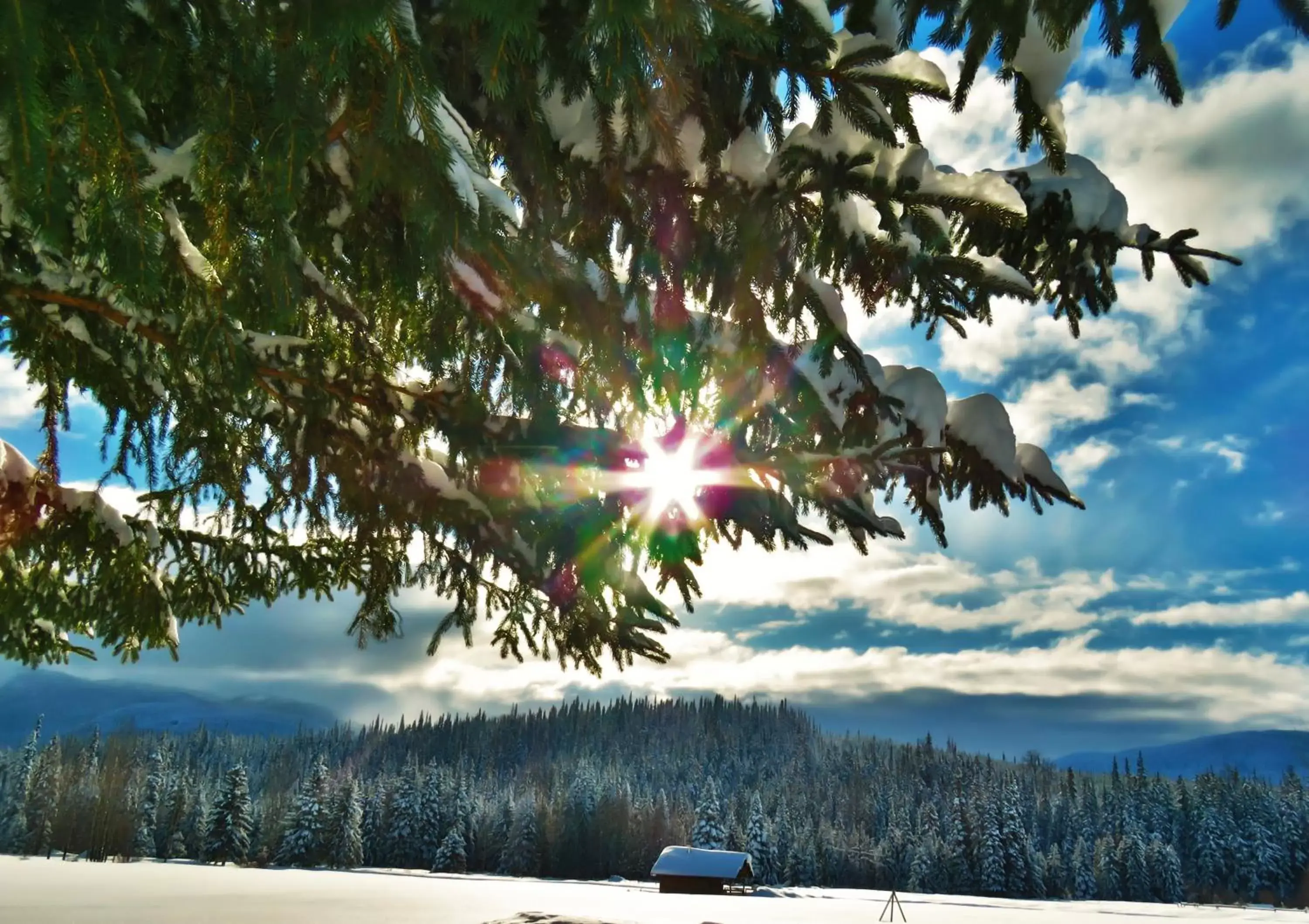 Mountain view in Rocky Ridge Resort-BC