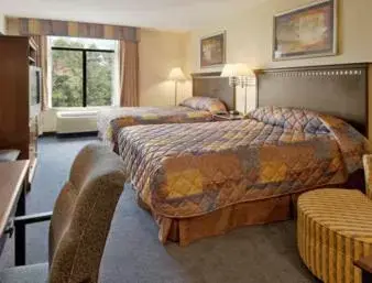 Queen Room with Two Queen Beds - Disability Access/Non-Smoking in Wingate by Wyndham Bridgeport
