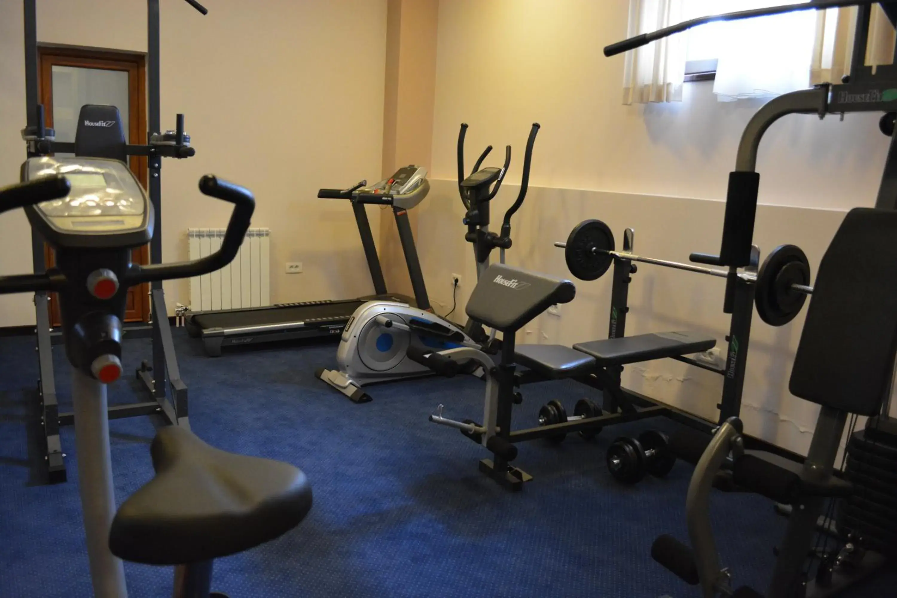 Fitness centre/facilities, Fitness Center/Facilities in Hotel Monte Rosa