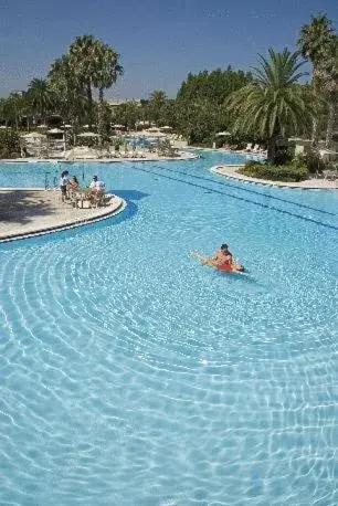 Swimming Pool in Saddlebrook Golf Resort & Spa Tampa North-Wesley Chapel