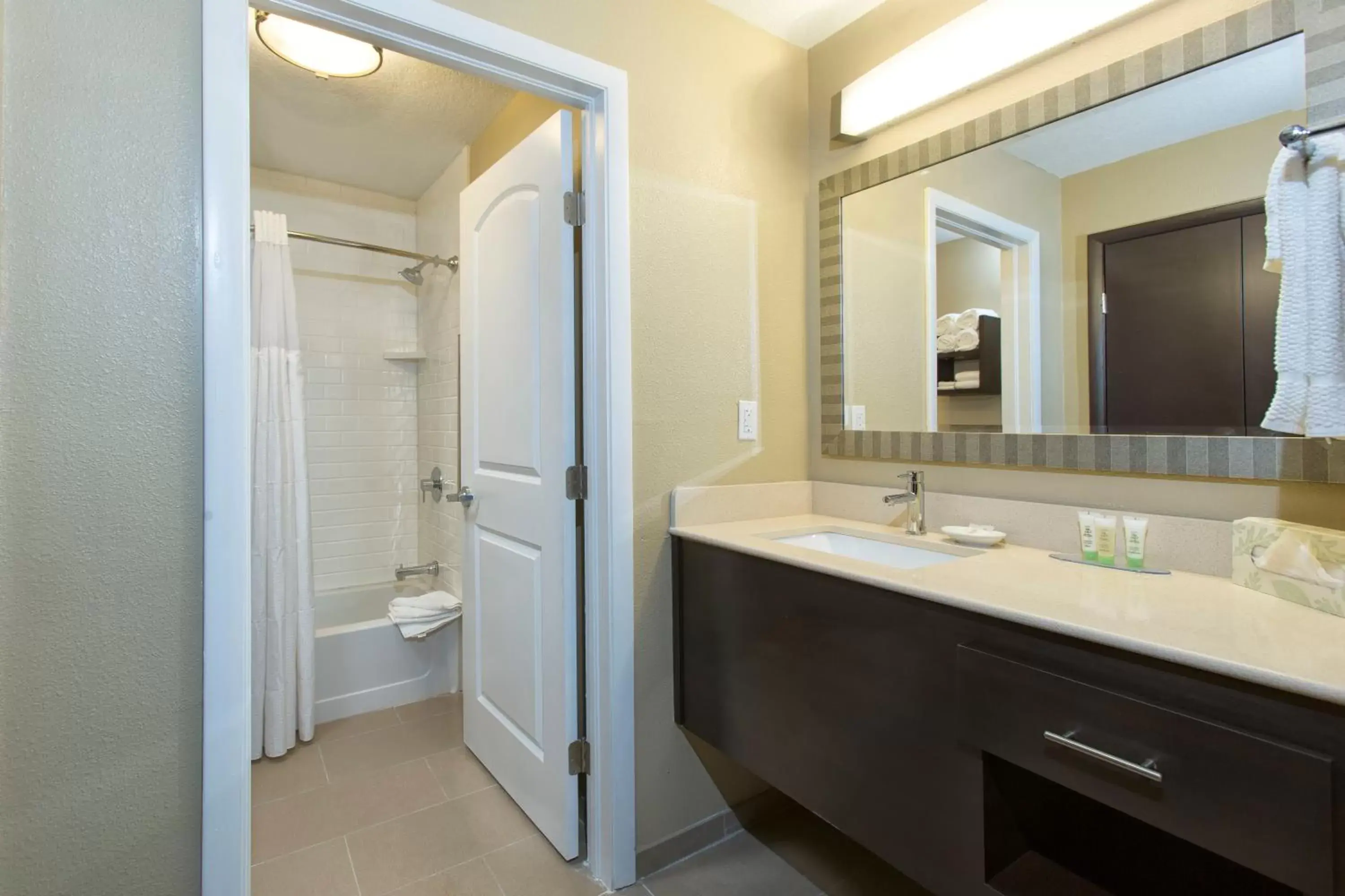 Bathroom in Staybridge Suites Orlando at SeaWorld, an IHG Hotel