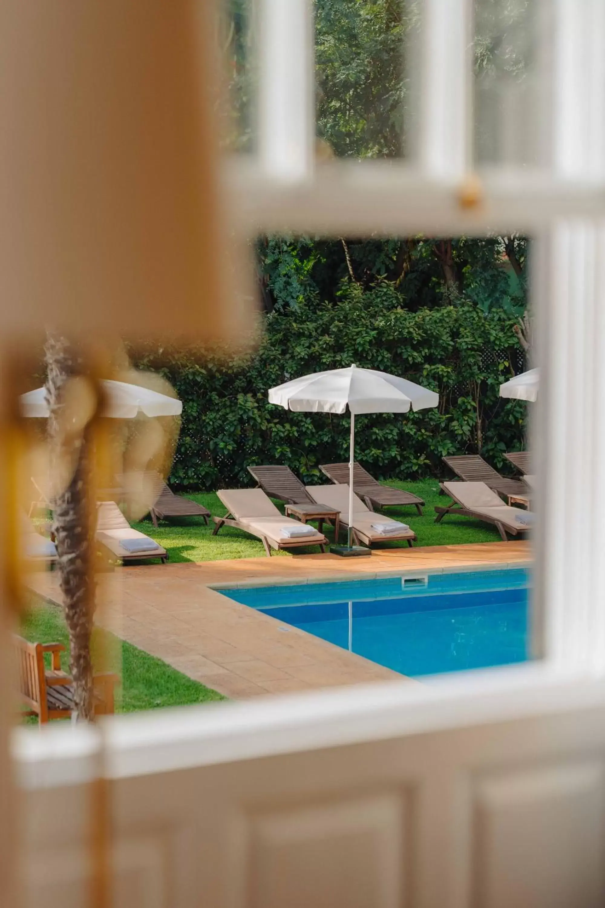 Swimming pool, Pool View in Quinta da Bela Vista