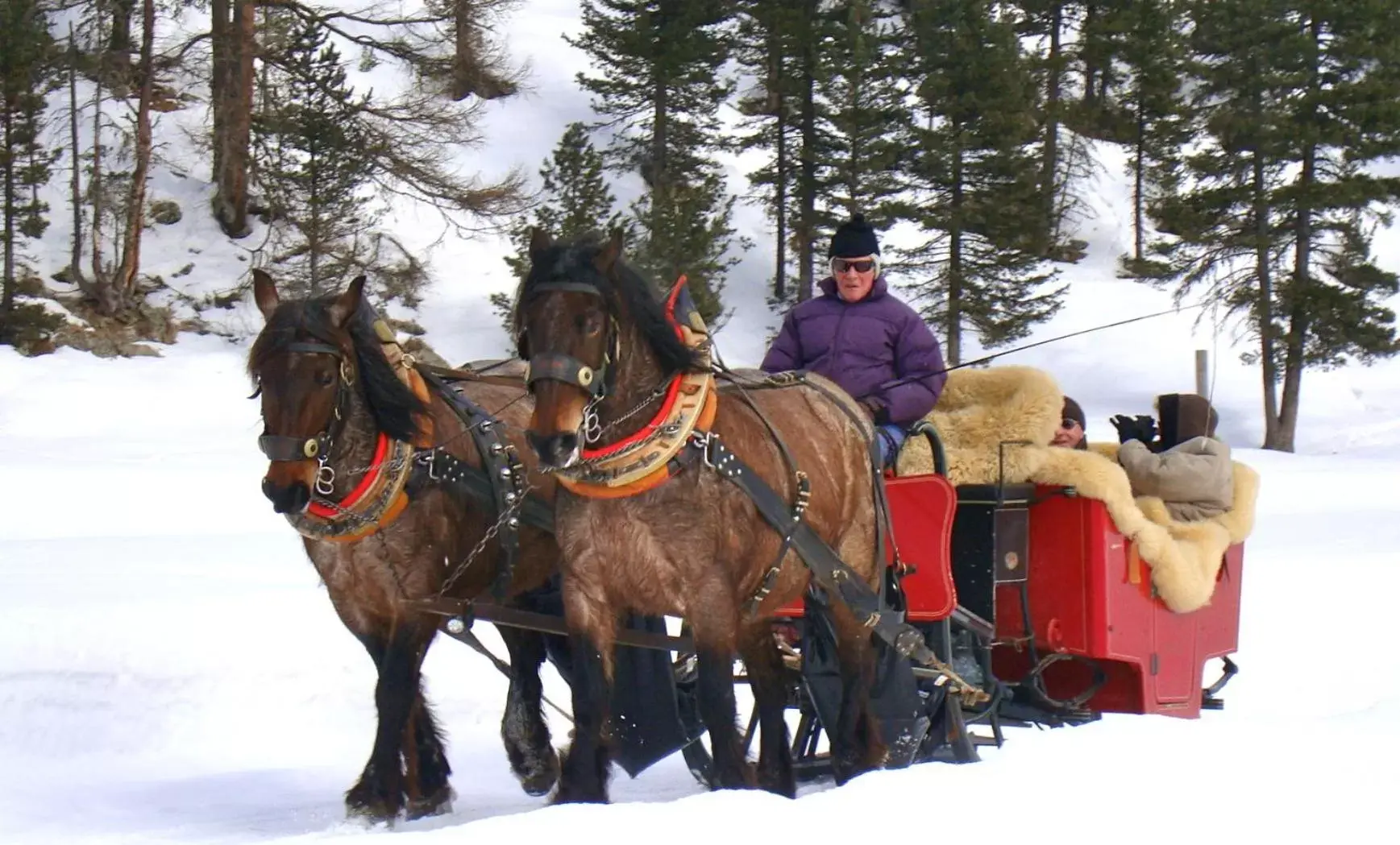 Winter, Horseback Riding in Hotel Roseg-Gletscher