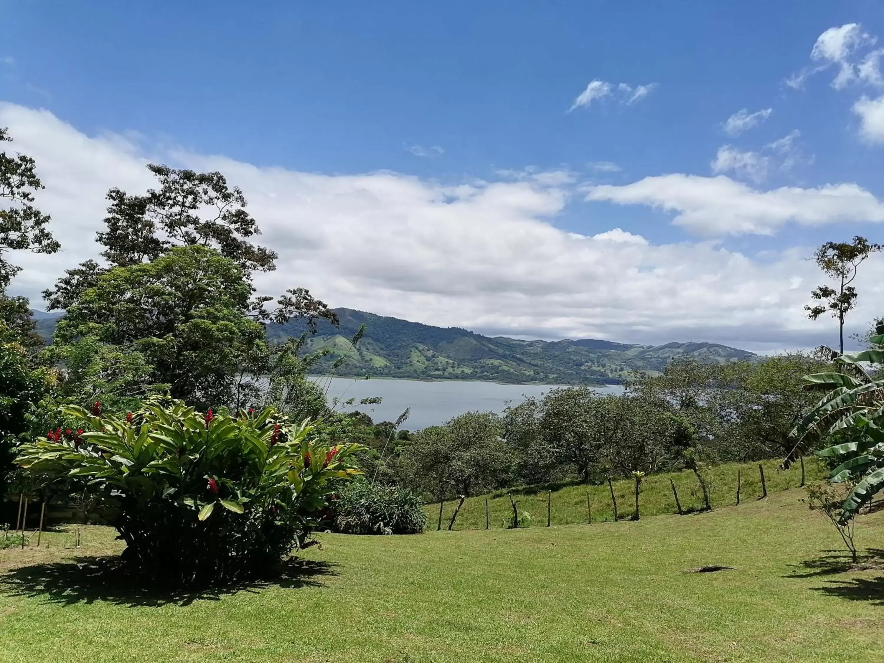 Natural landscape in La Ceiba Tree Lodge