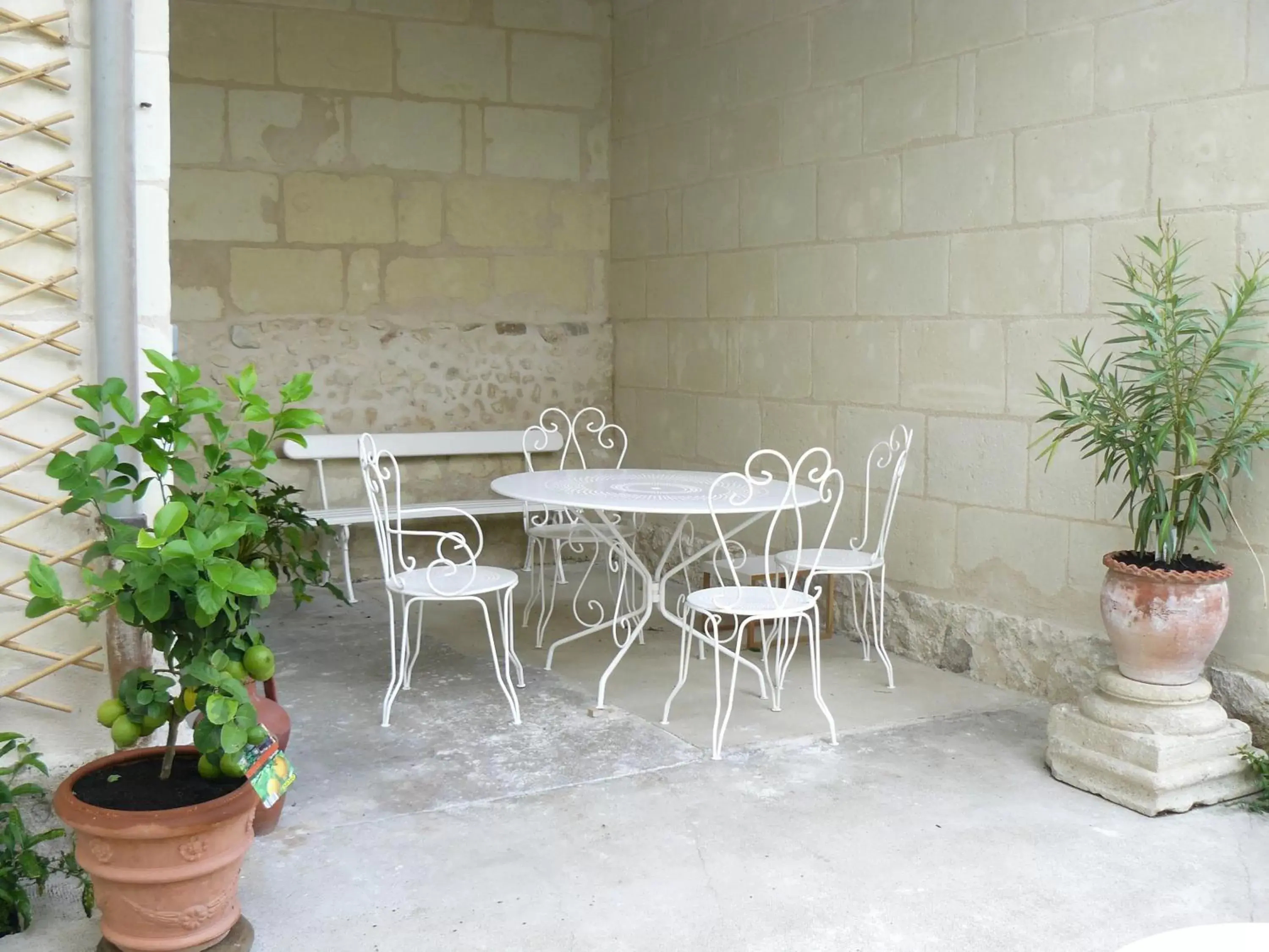 Garden in La Maison de Saumur