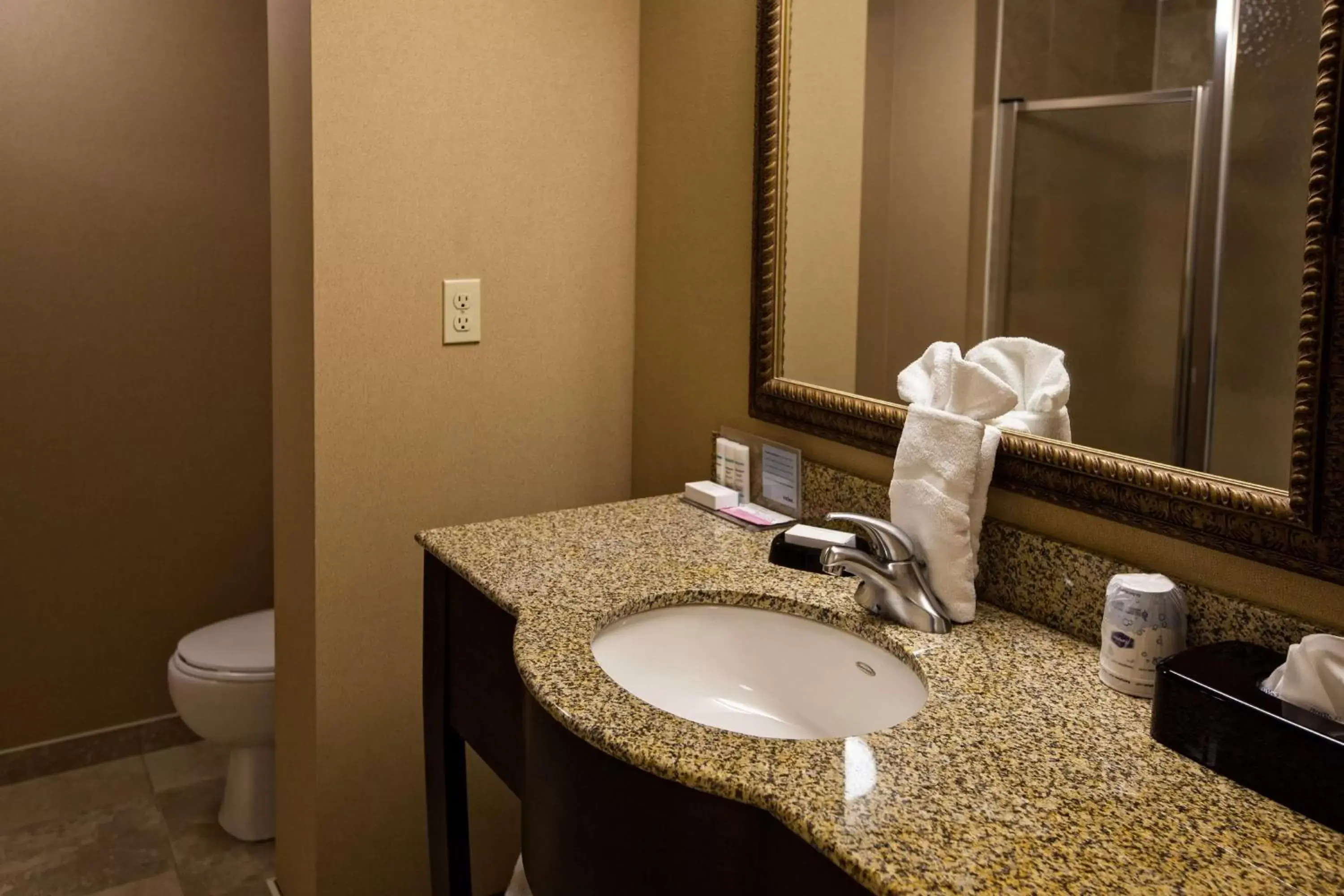 Bathroom in Hampton Inn by Hilton Napanee