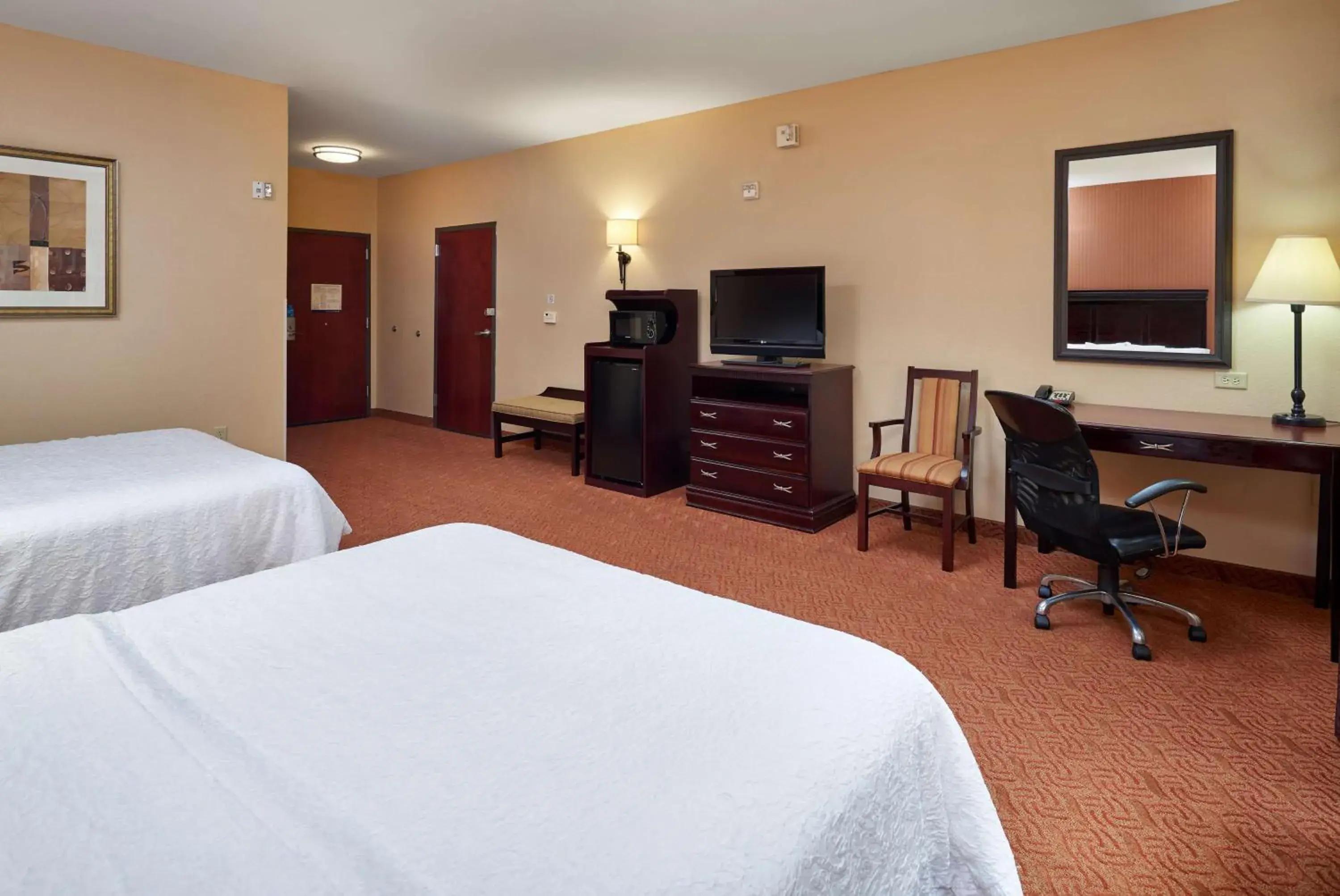 Bedroom, TV/Entertainment Center in Hampton Inn & Suites Austin South Buda