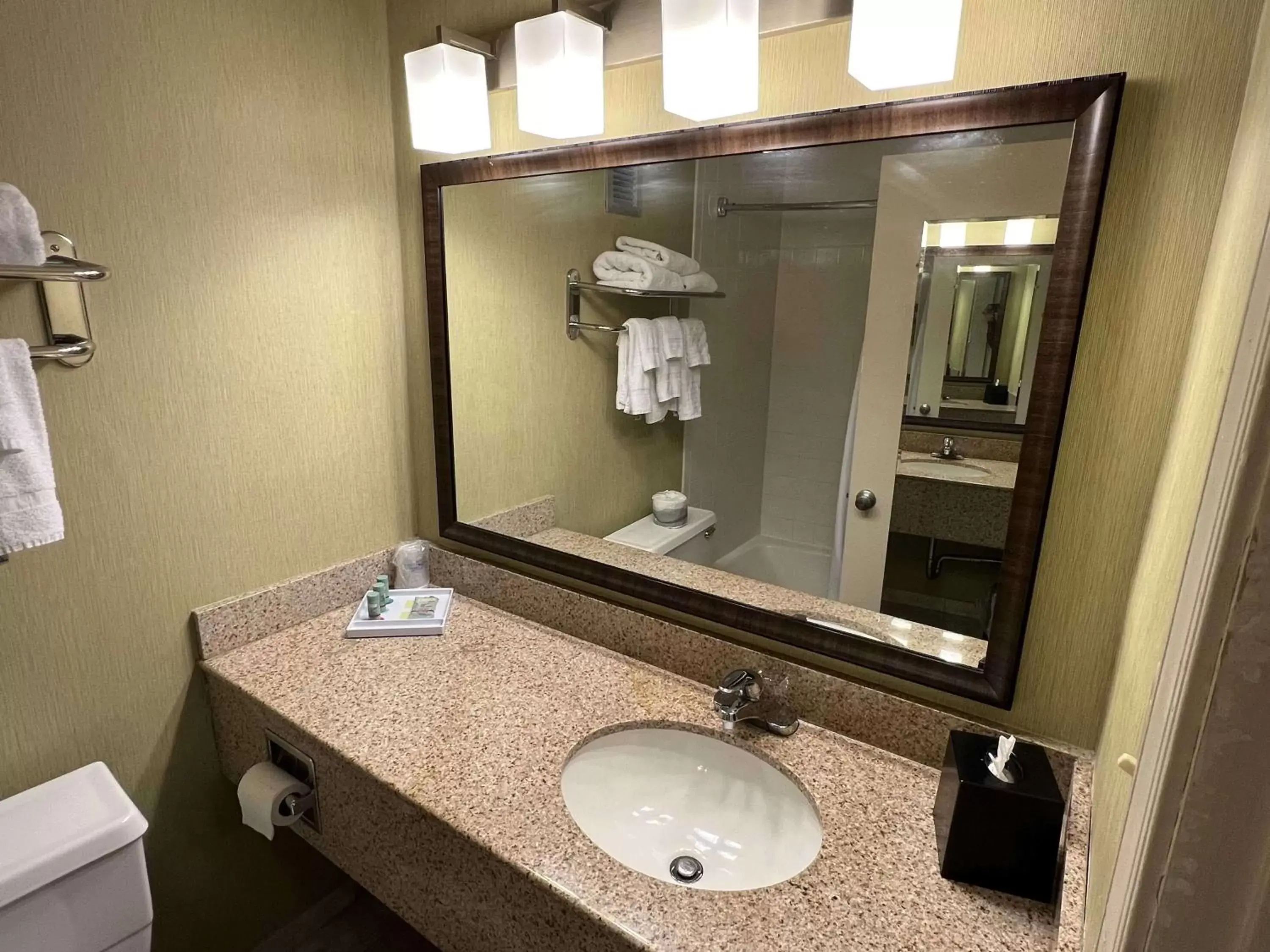 Bathroom in Best Western Williamsburg Historic District