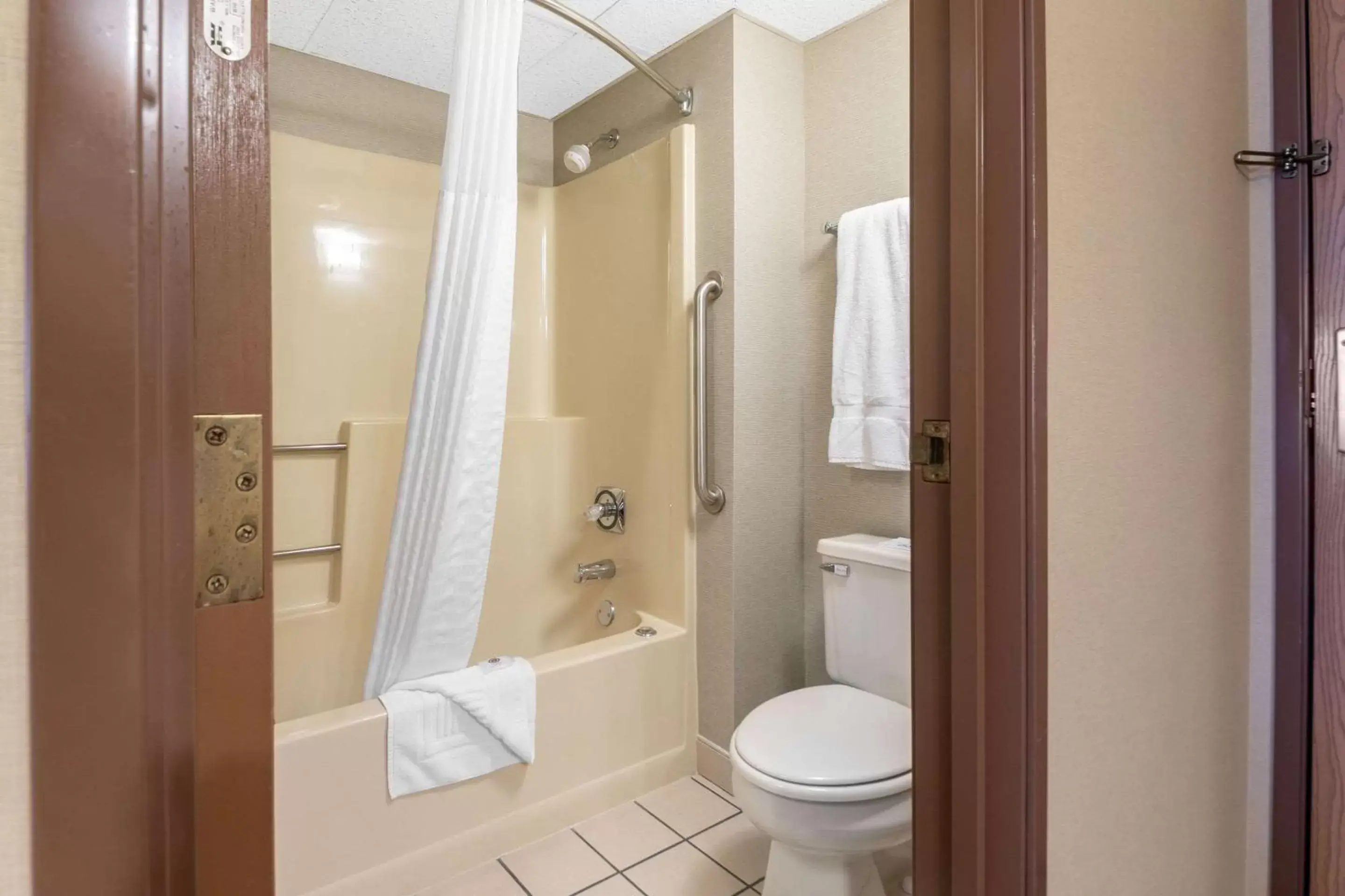 Bathroom in Comfort Inn Iron Mountain