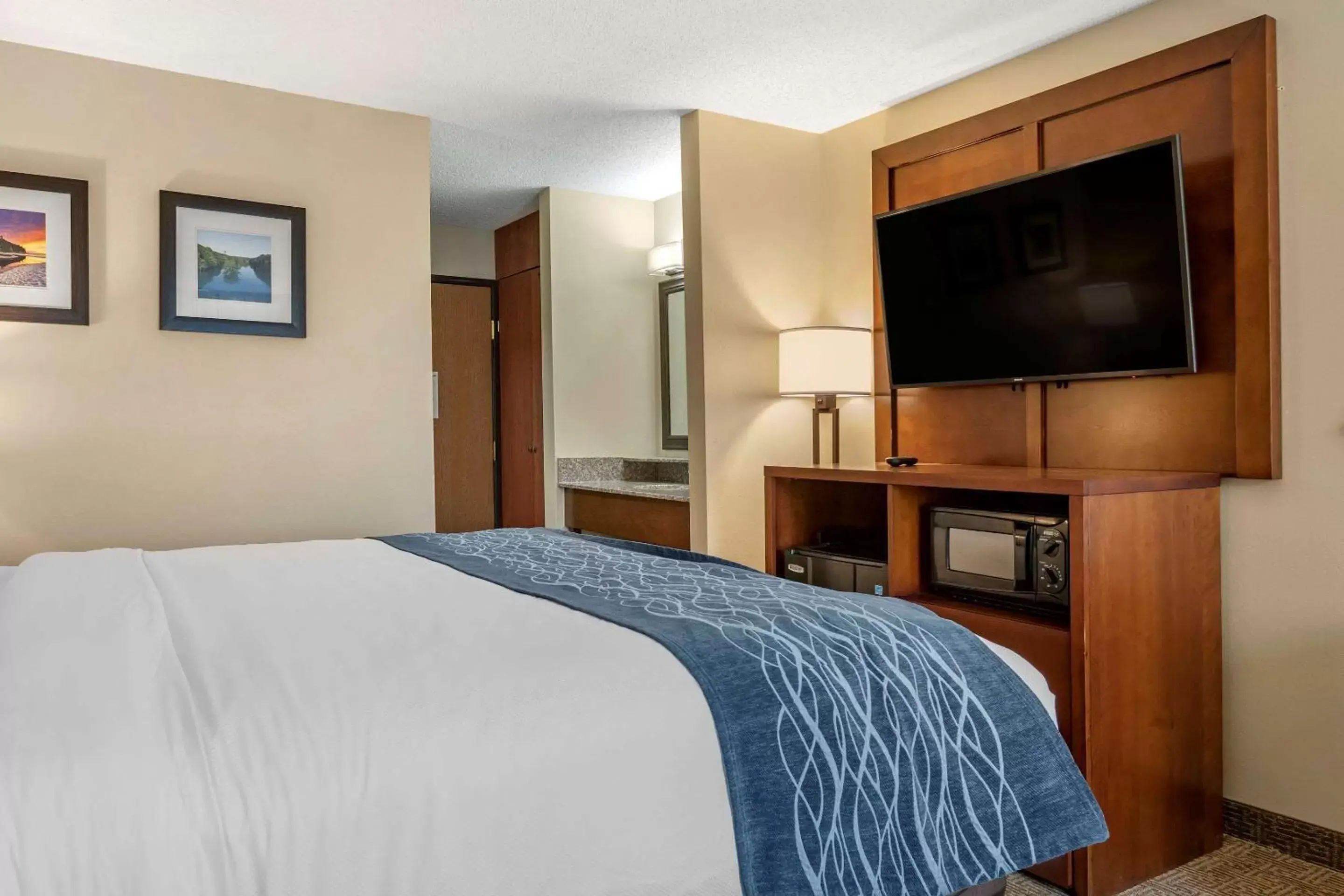 Photo of the whole room, Bed in Comfort Inn & Suites Dimondale