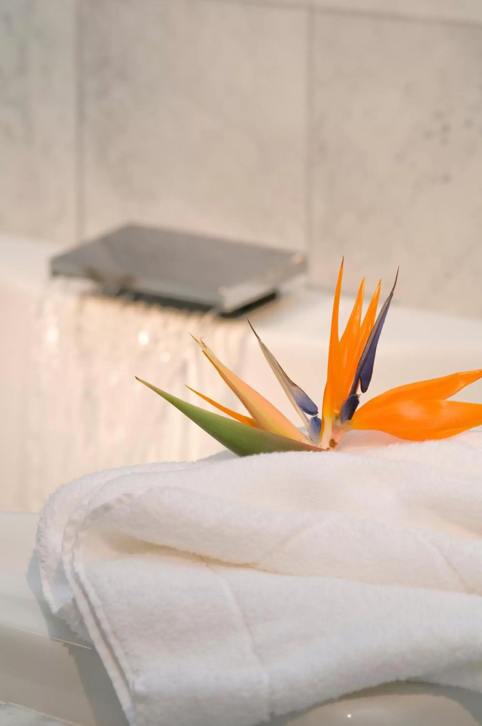 Bathroom in The Gardens Hotel