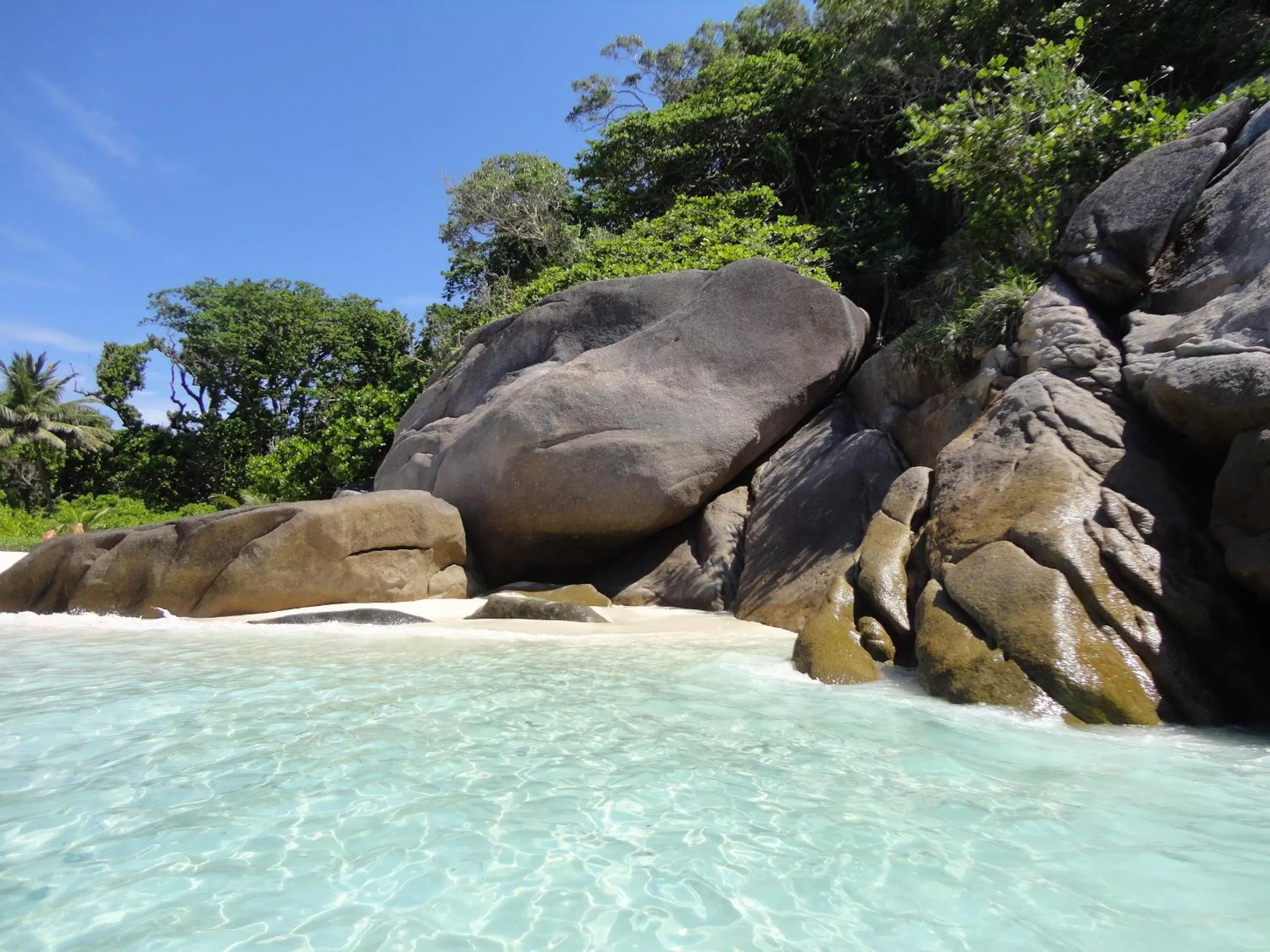 Area and facilities in The Sarojin