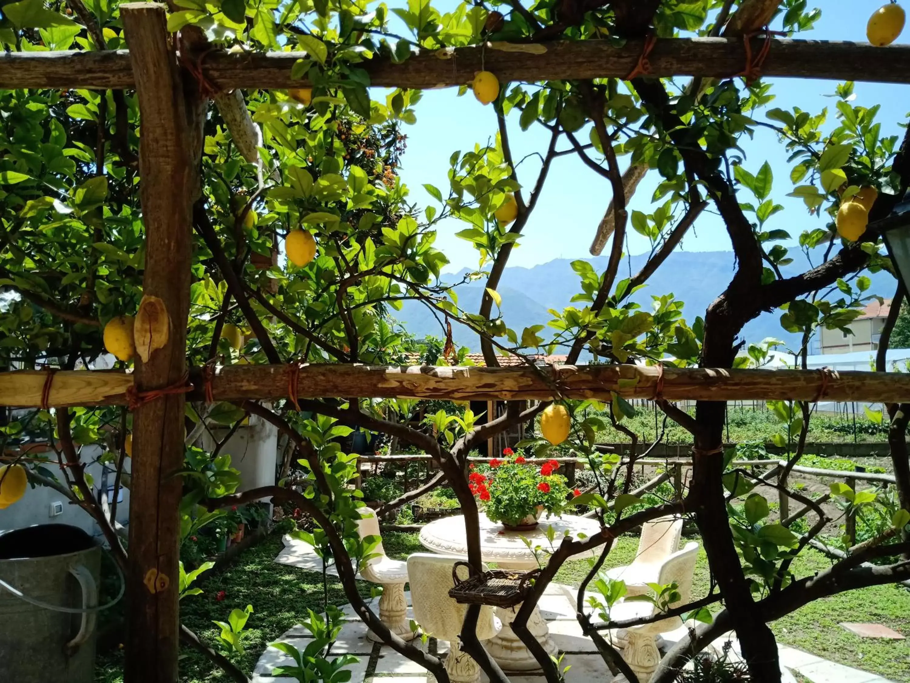 Buonocore Rooms Buonocore Rooms