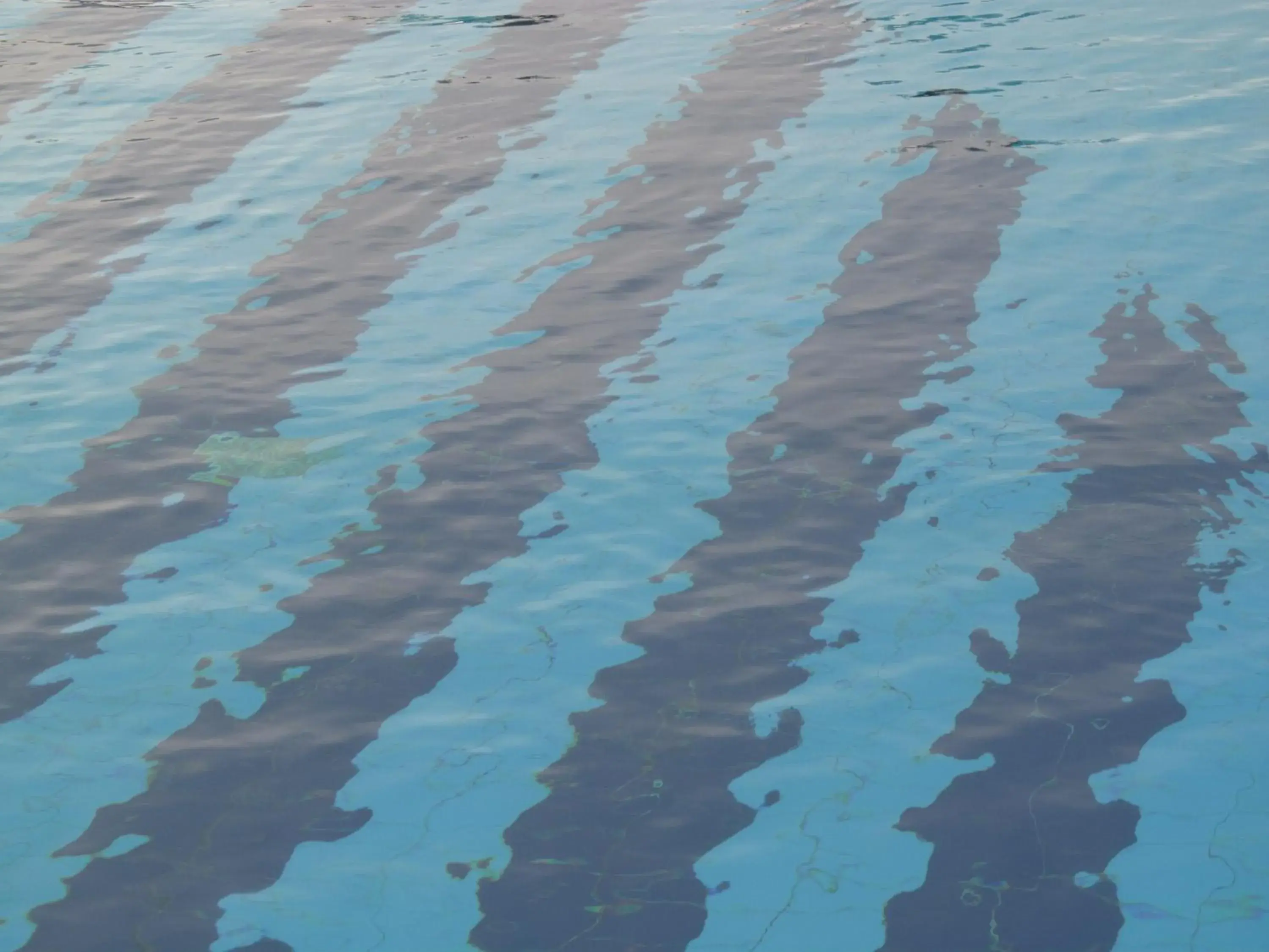 Swimming pool in Cathrin Hotel Swimming pool in Cathrin Hotel