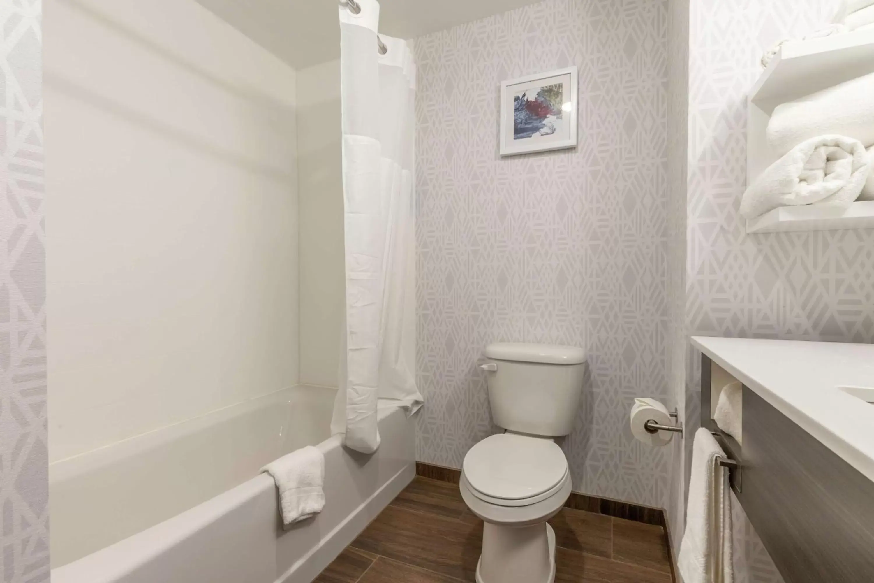 Bathroom in Hampton Inn By Hilton Camden, Sc