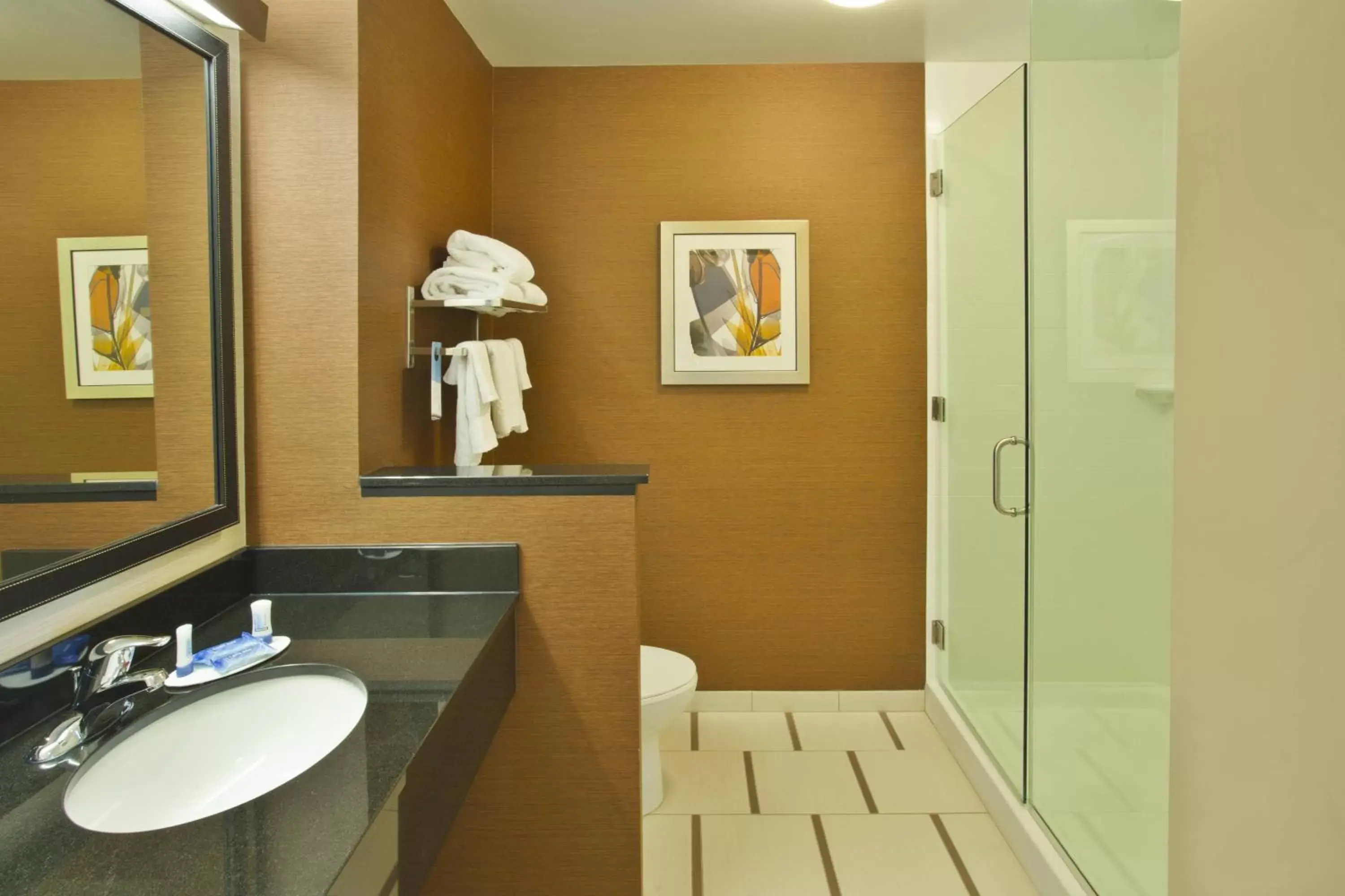 Bathroom in Fairfield Inn & Suites by Marriott Jeffersonville I-71