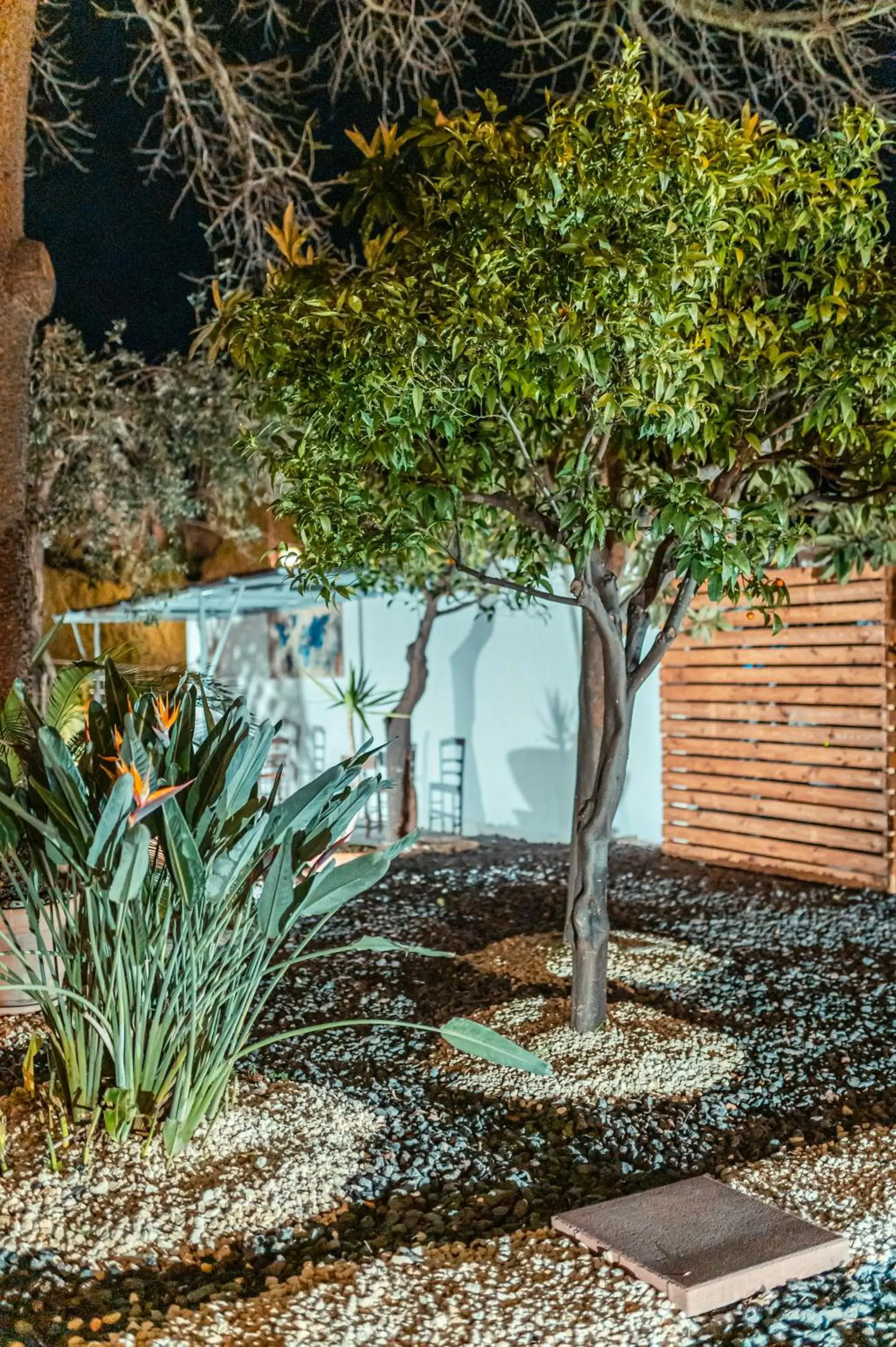 Patio in Taormina Garden Hotel