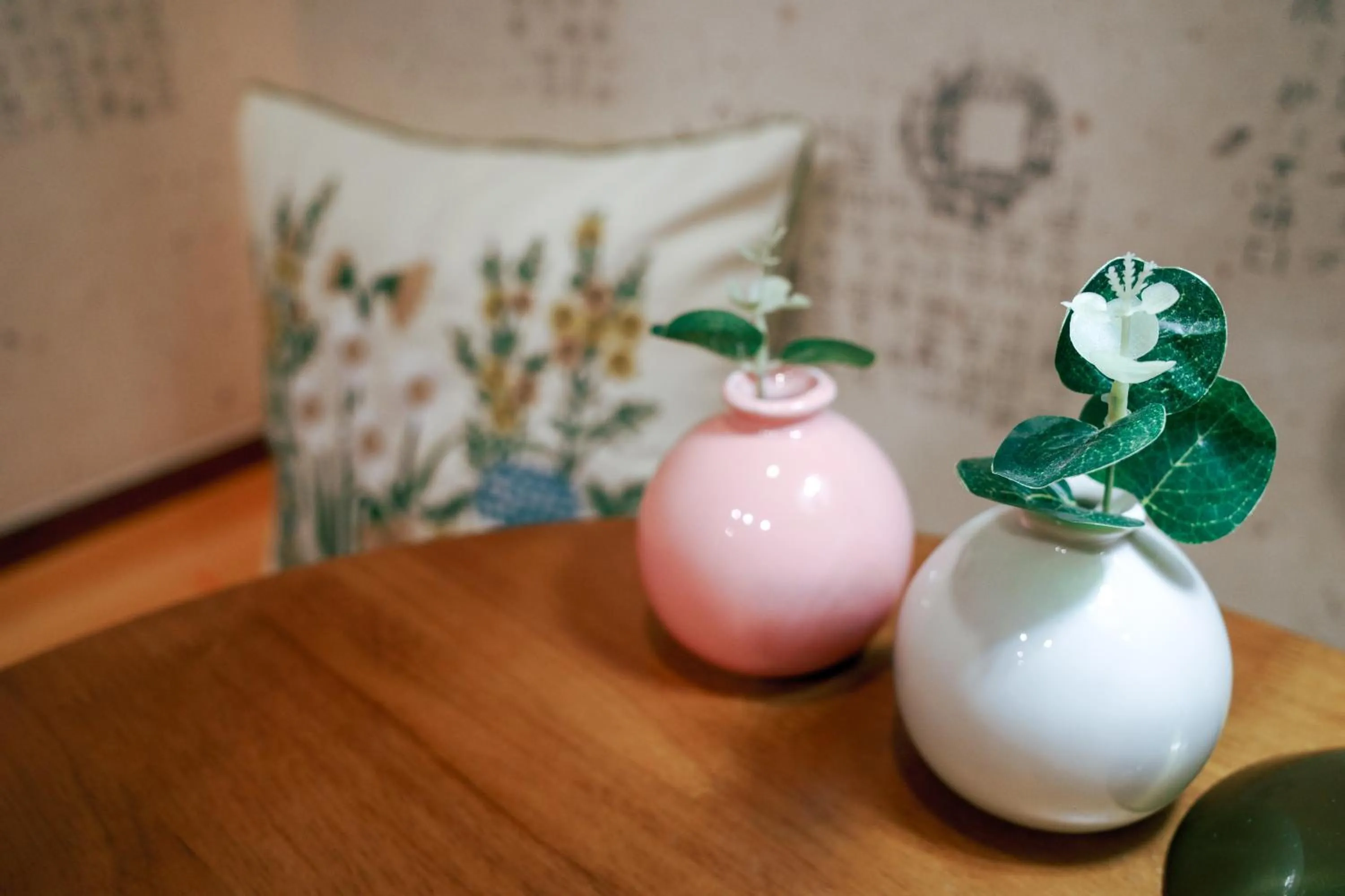 Area and facilities in Starria Hostel foreign guest only