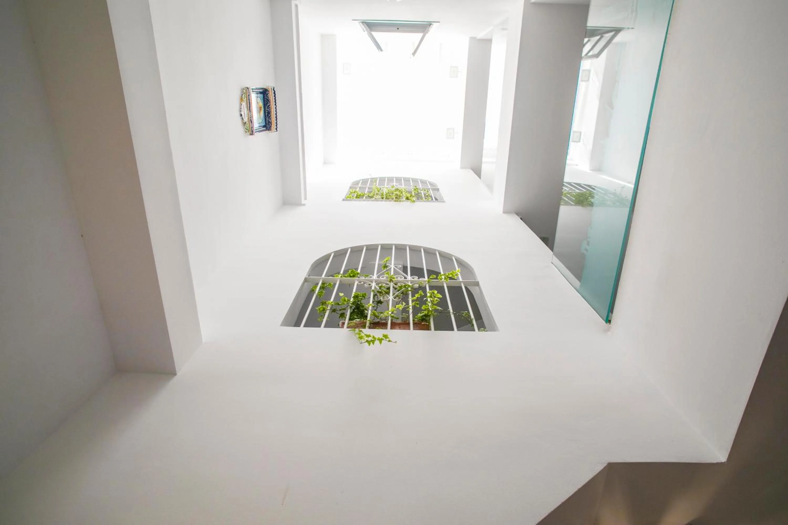 Patio, Bed in Hostal San Francisco