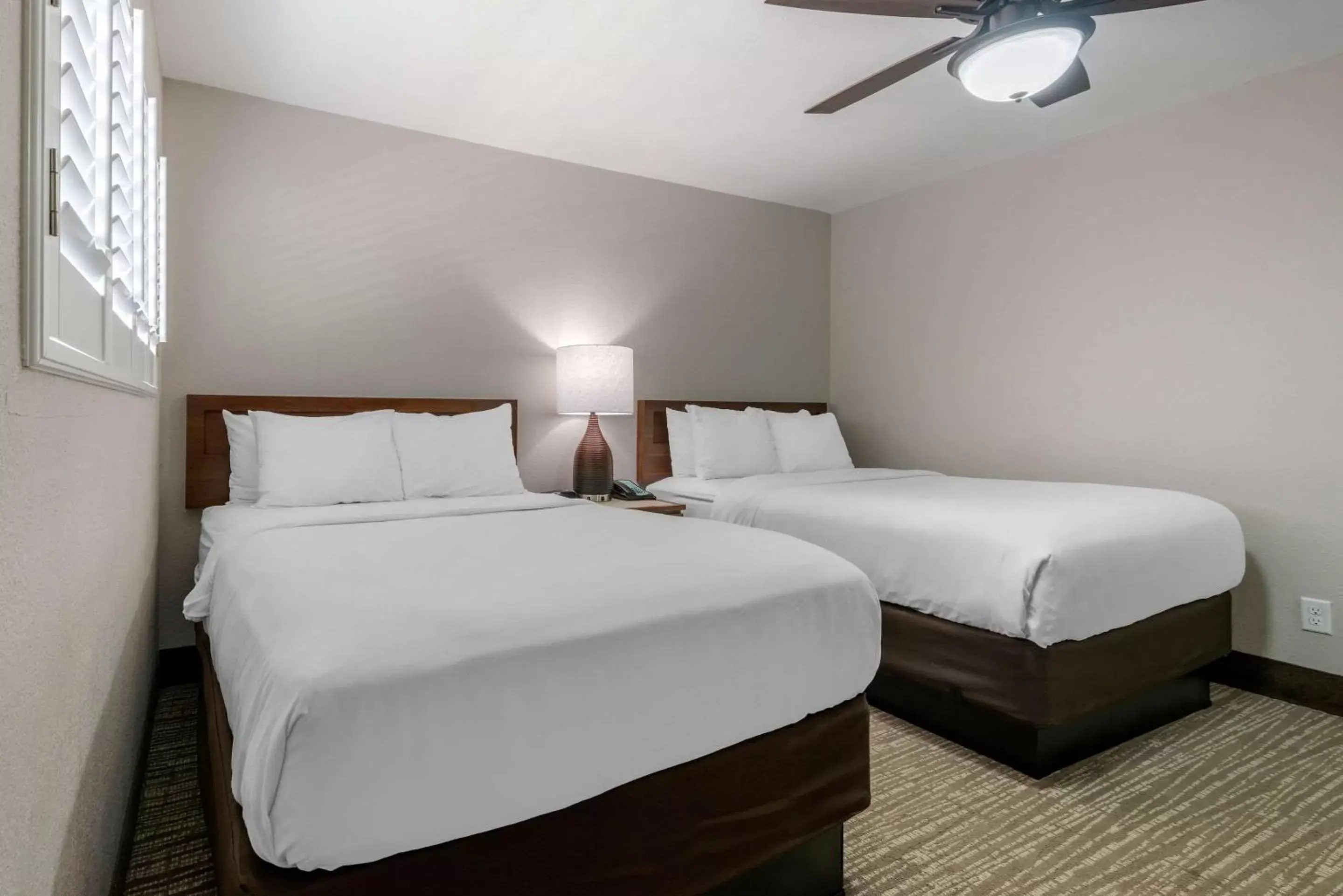 Photo of the whole room, Bed in Seafarer Inn & Suites, Ascend Hotel Collection