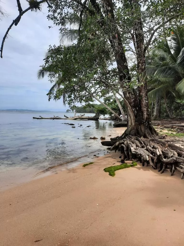 Casa Acuario Boutique Hotel