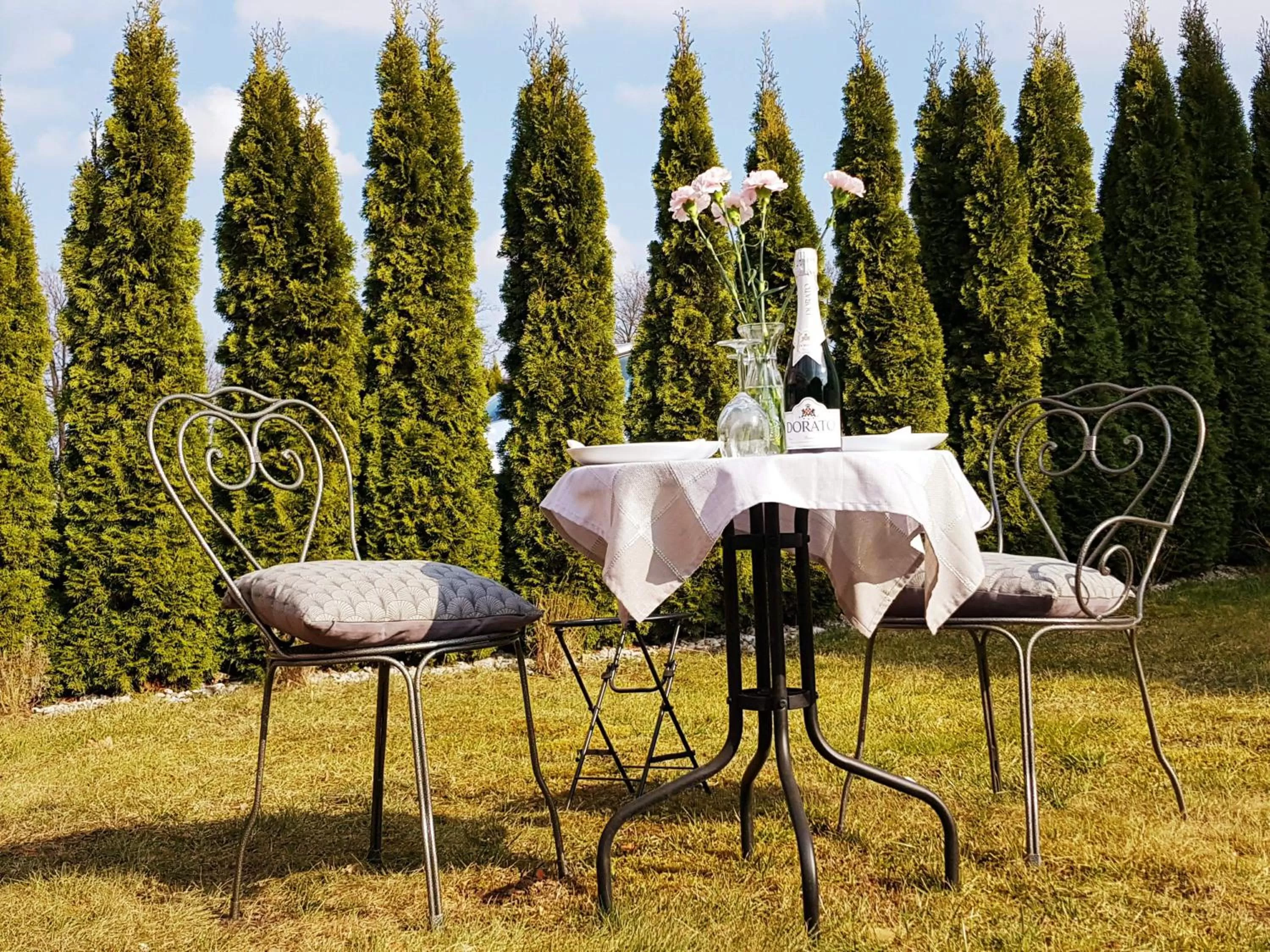 Garden in Noclegi Biała Róża