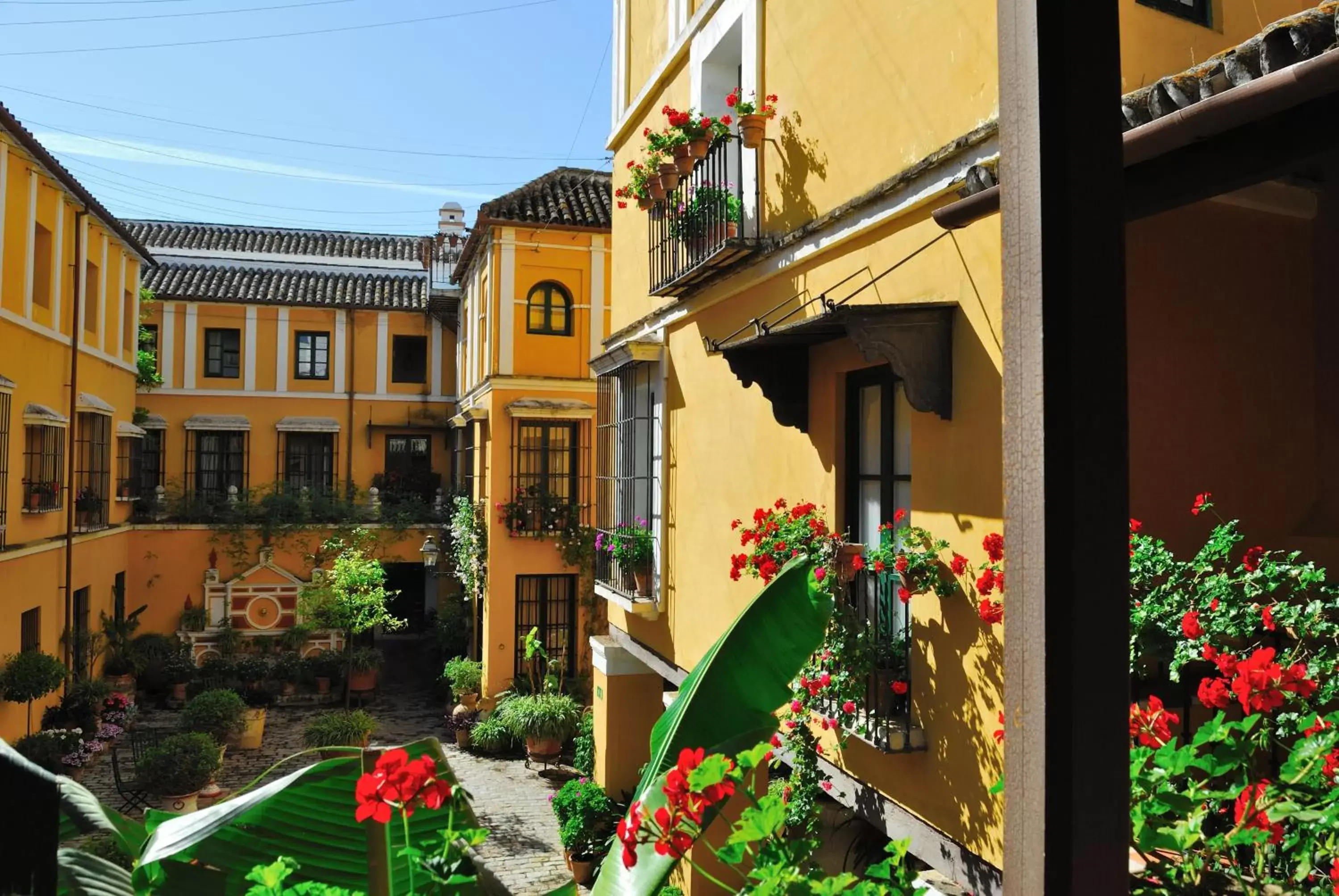 Swimming pool, Patio/Outdoor Area in Hotel Las Casas de la Judería