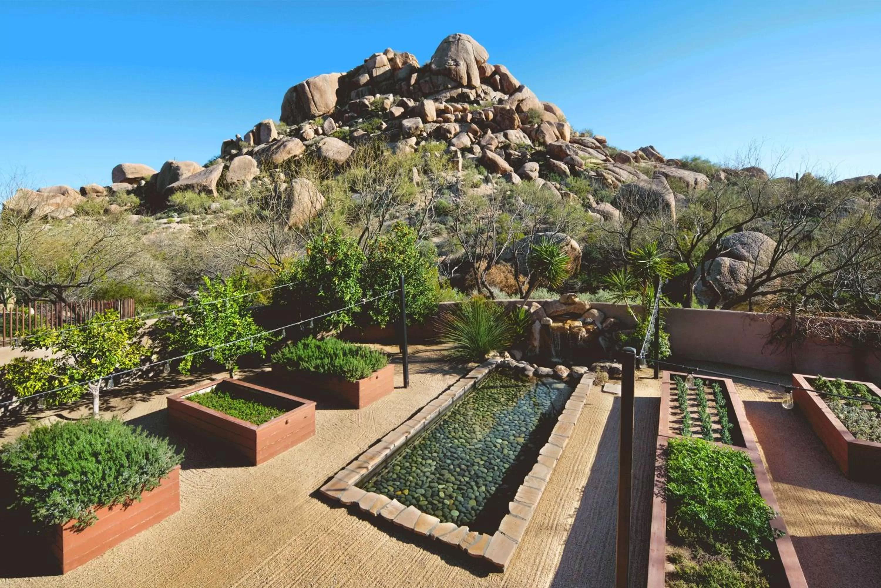 Sports in Boulders Resort & Spa Scottsdale, Curio Collection by Hilton