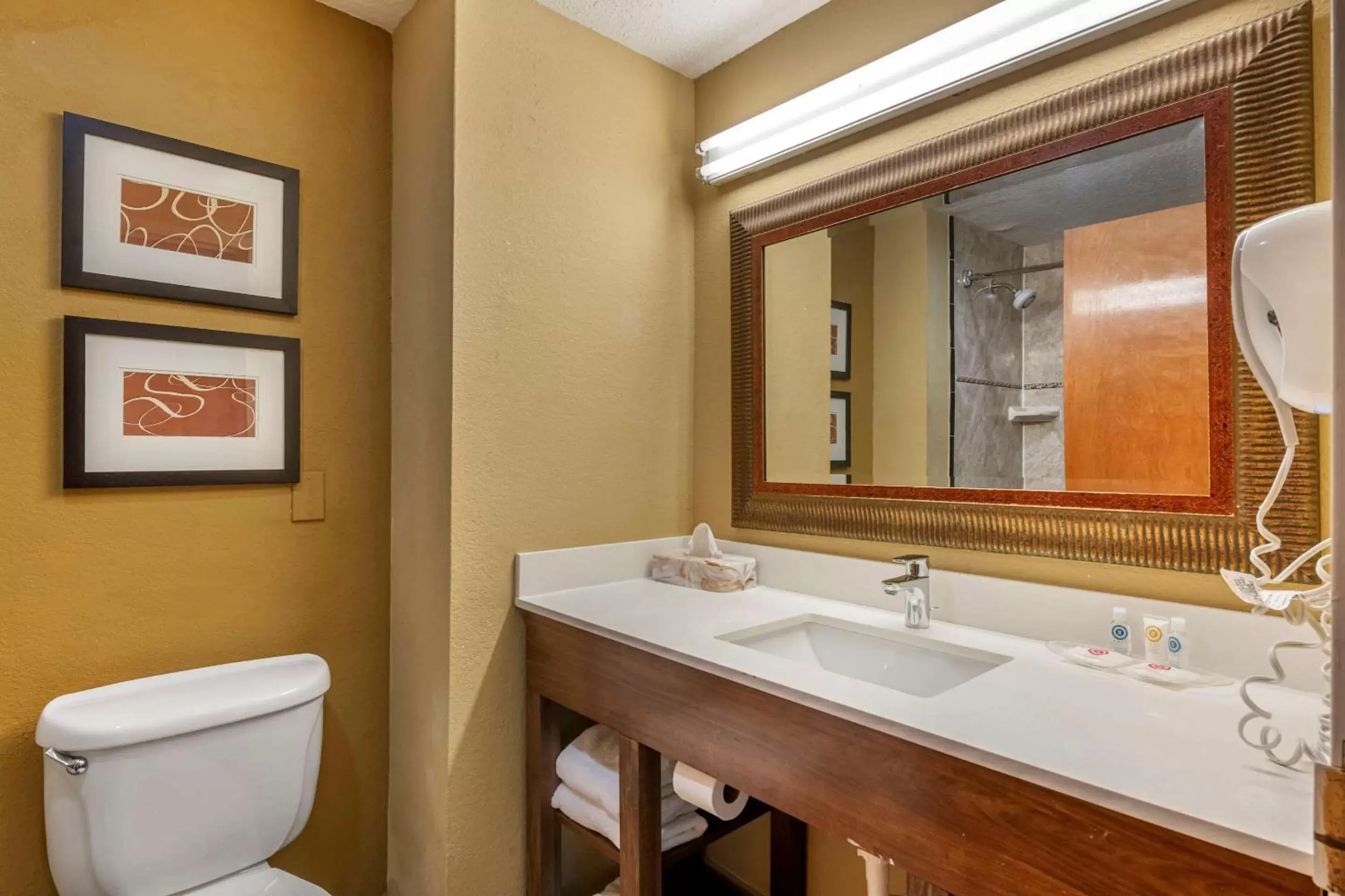 Photo of the whole room, Bathroom in Comfort Suites Sawgrass