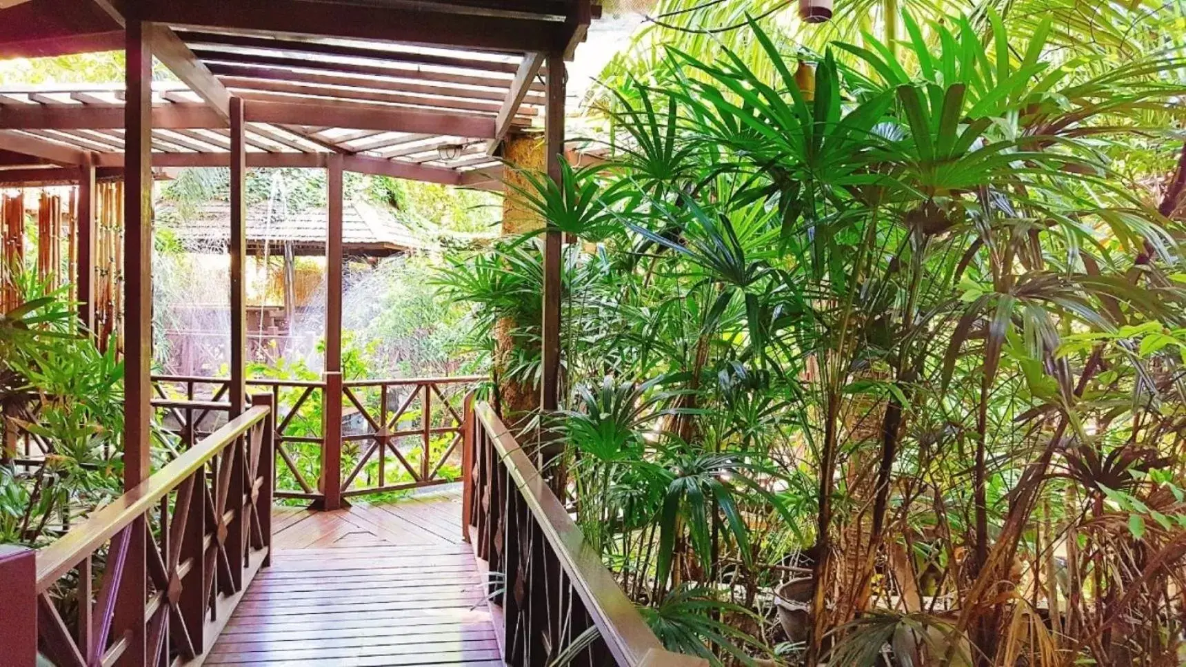 Patio, Balcony/Terrace in Birds and Bees Resort