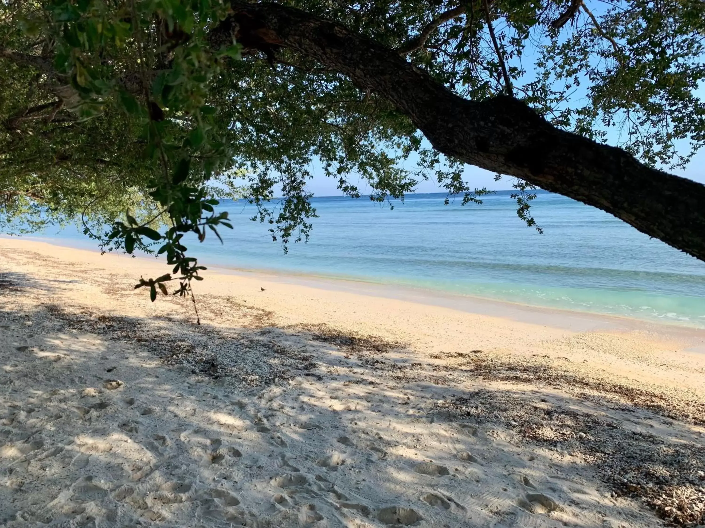 Beach in Wilson's Retreat